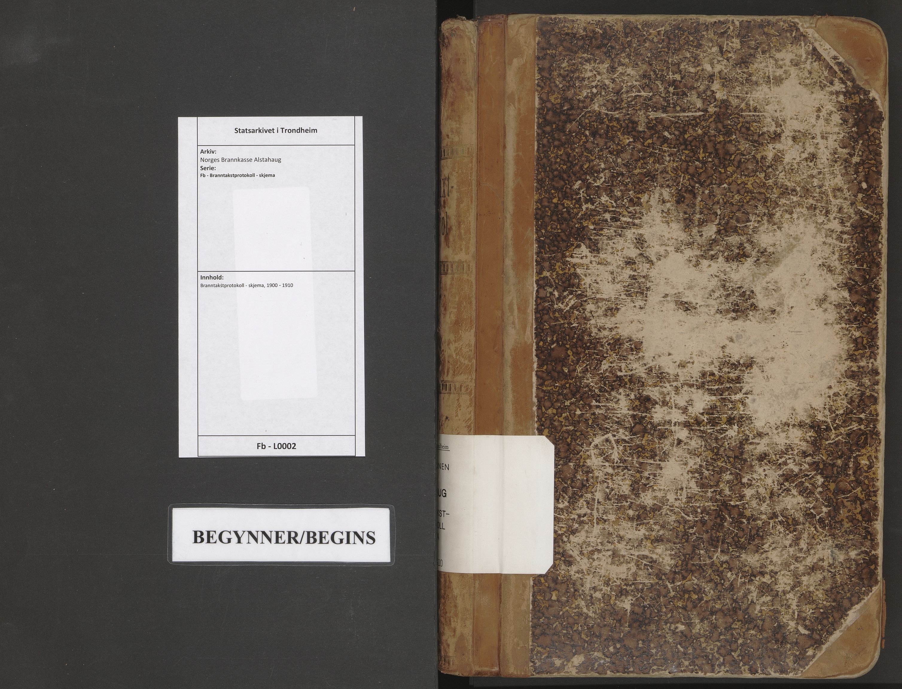 Norges Brannkasse Alstahaug, AV/SAT-A-5568/Fb/L0002: Branntakstprotokoll - skjema, 1900-1910