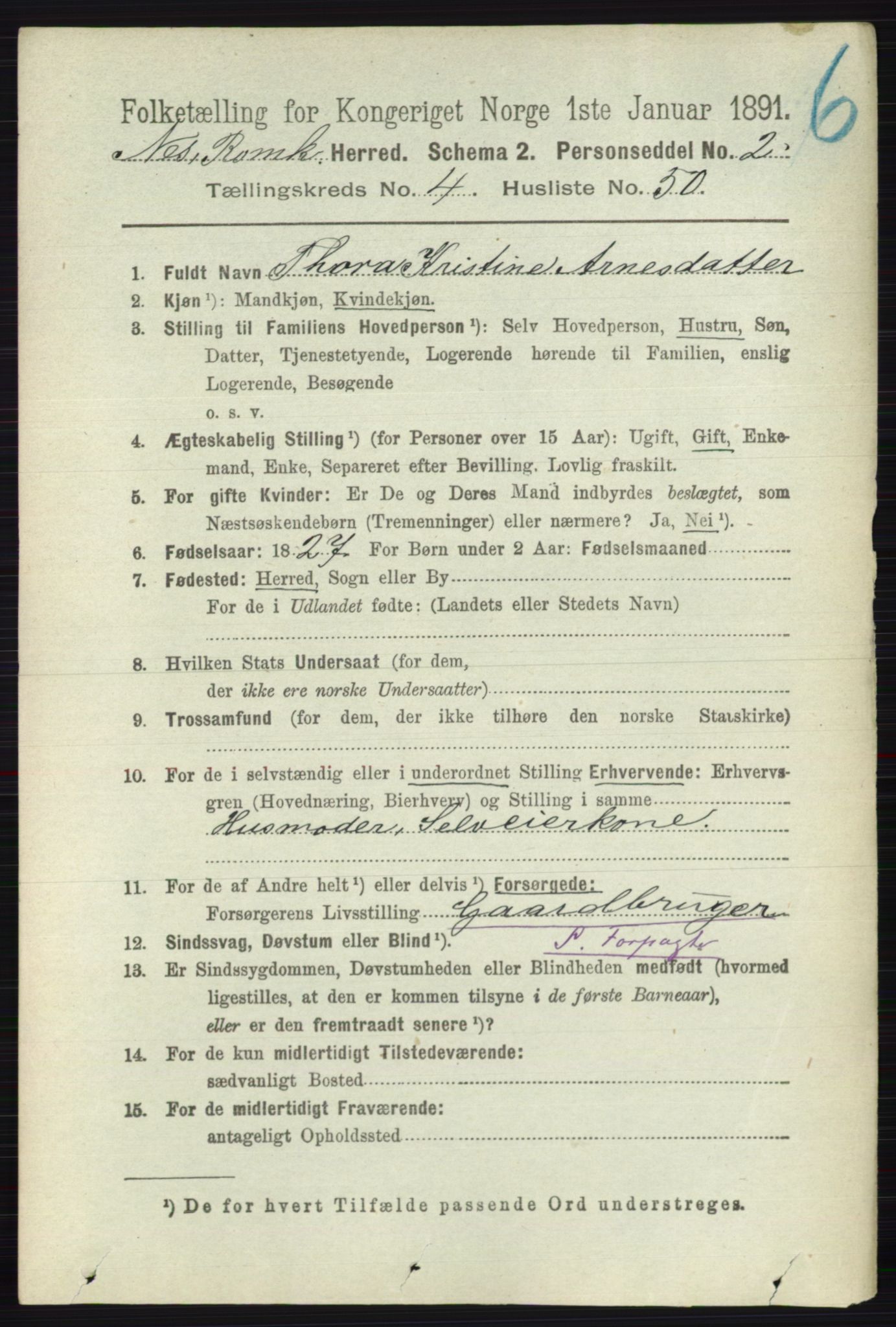 RA, Folketelling 1891 for 0236 Nes herred, 1891, s. 2545