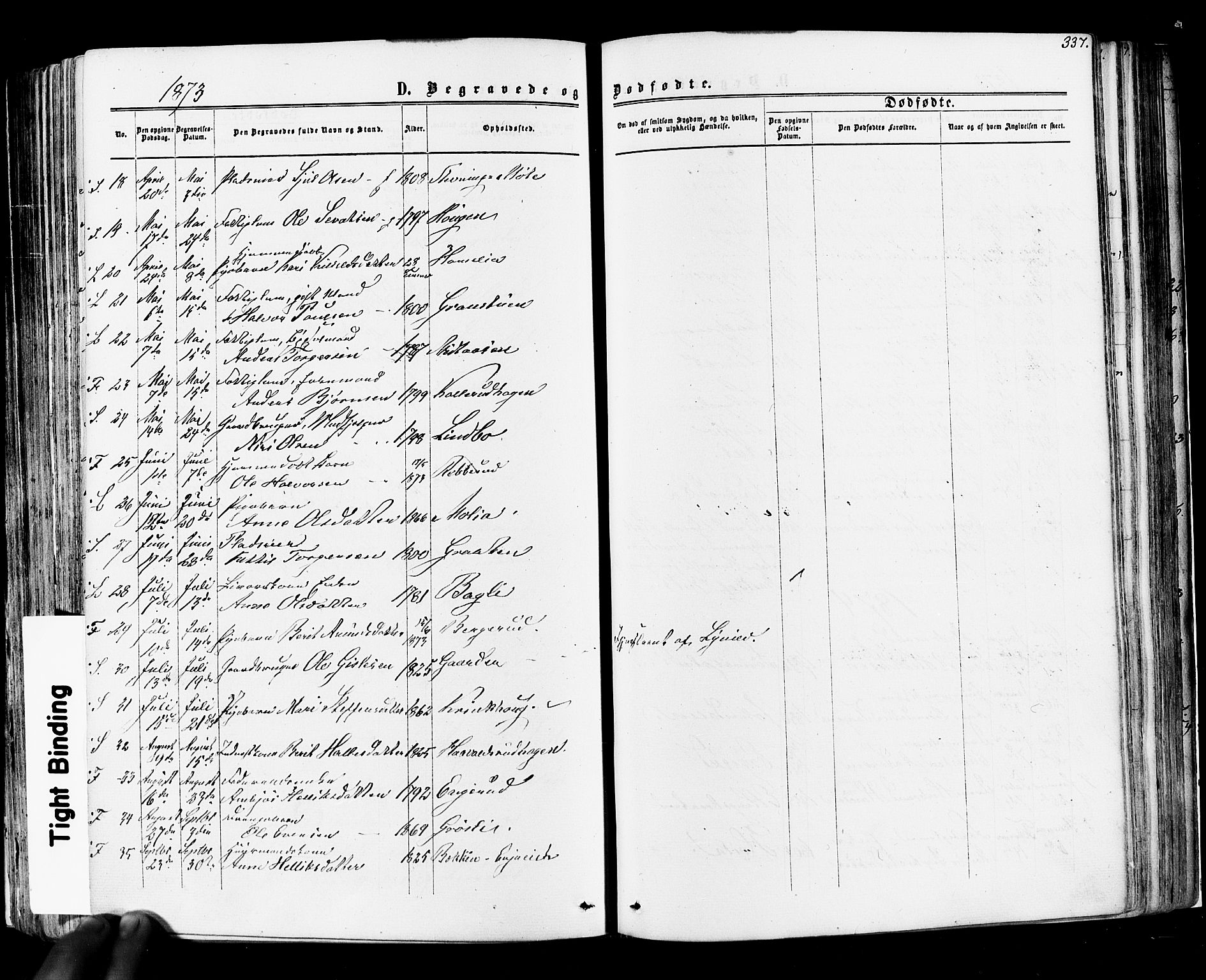 Flesberg kirkebøker, AV/SAKO-A-18/F/Fa/L0007: Ministerialbok nr. I 7, 1861-1878, s. 337