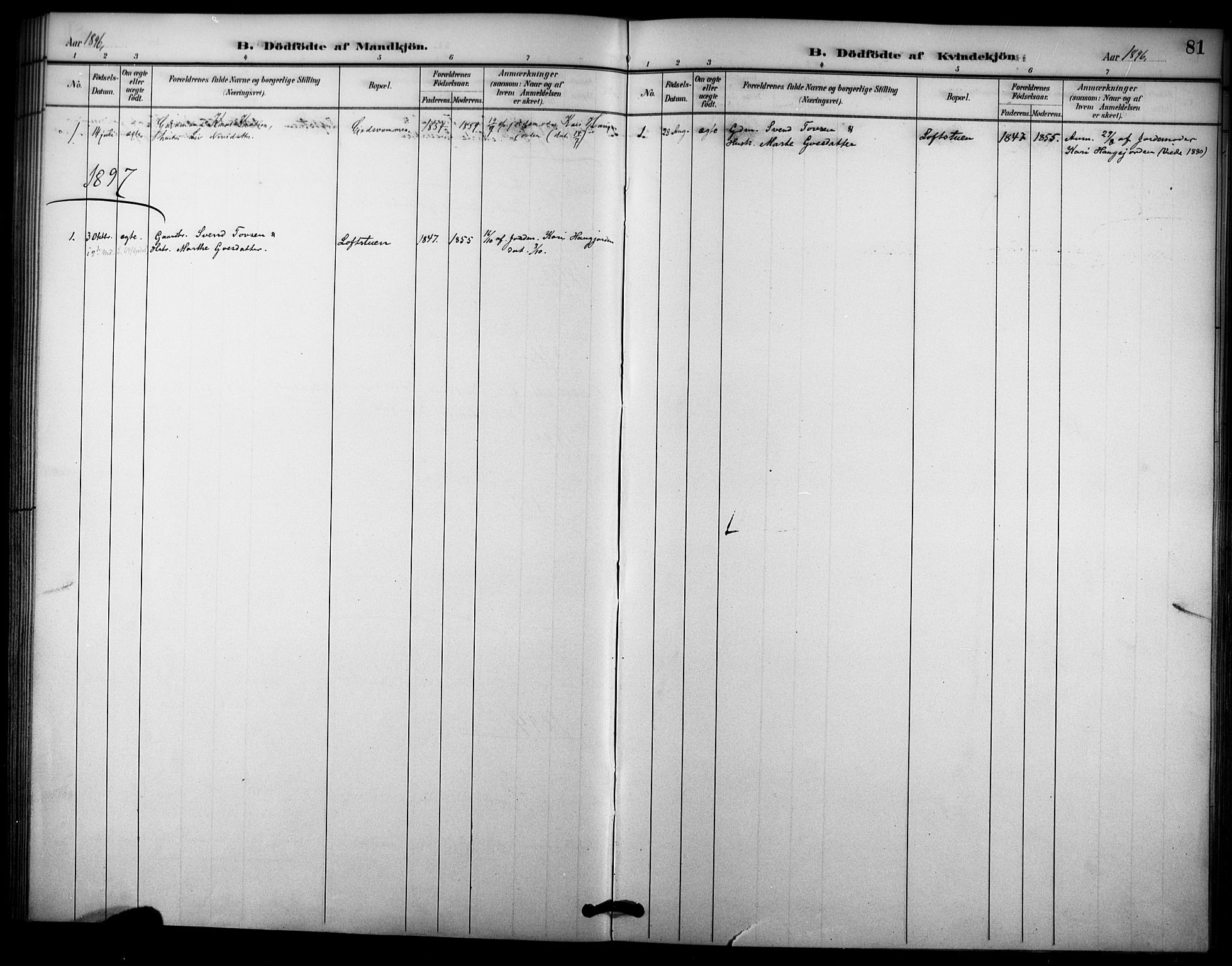 Nore kirkebøker, SAKO/A-238/F/Fc/L0004: Ministerialbok nr. III 4, 1885-1898, s. 81