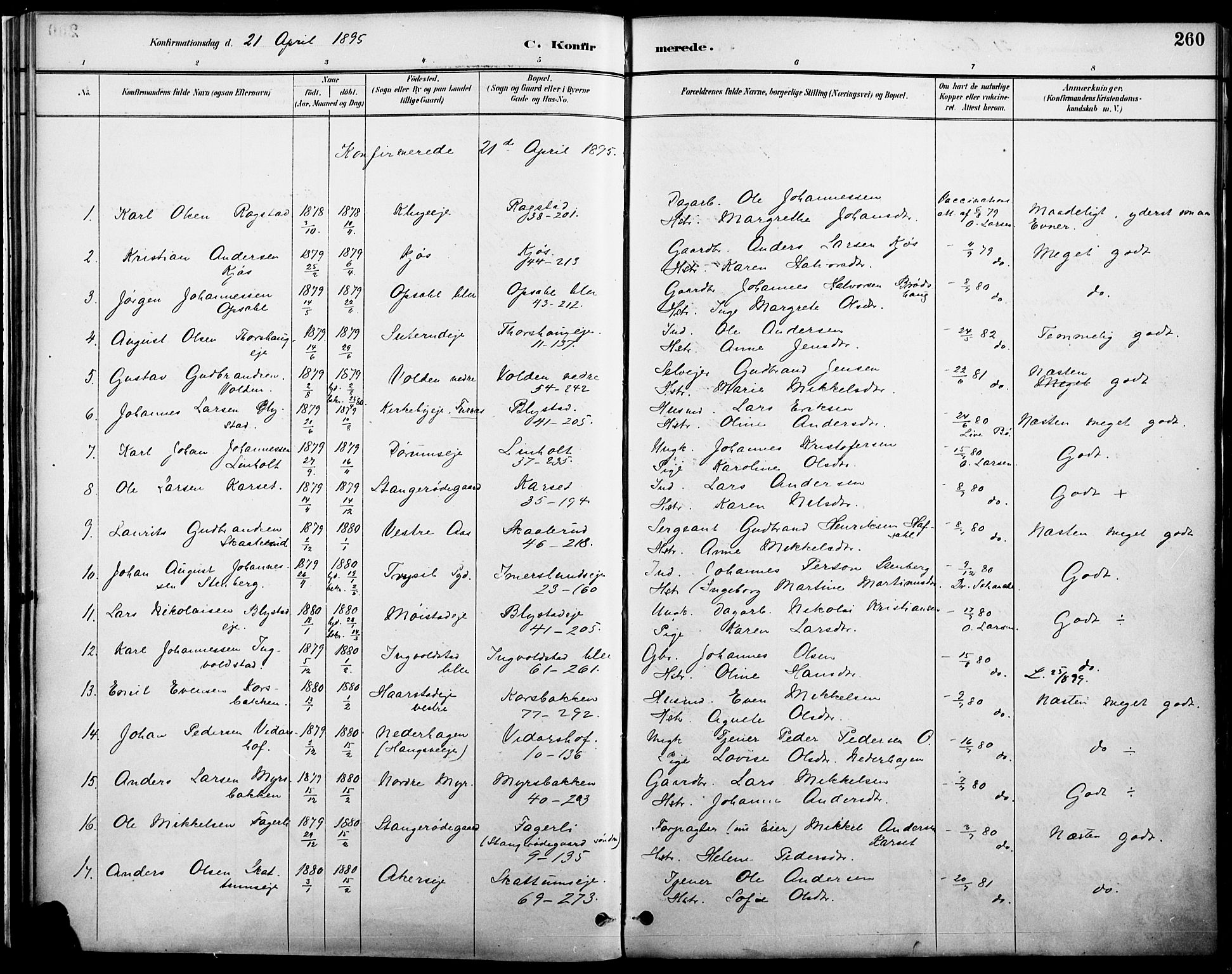 Vang prestekontor, Hedmark, AV/SAH-PREST-008/H/Ha/Haa/L0019A: Ministerialbok nr. 19, 1886-1900, s. 260