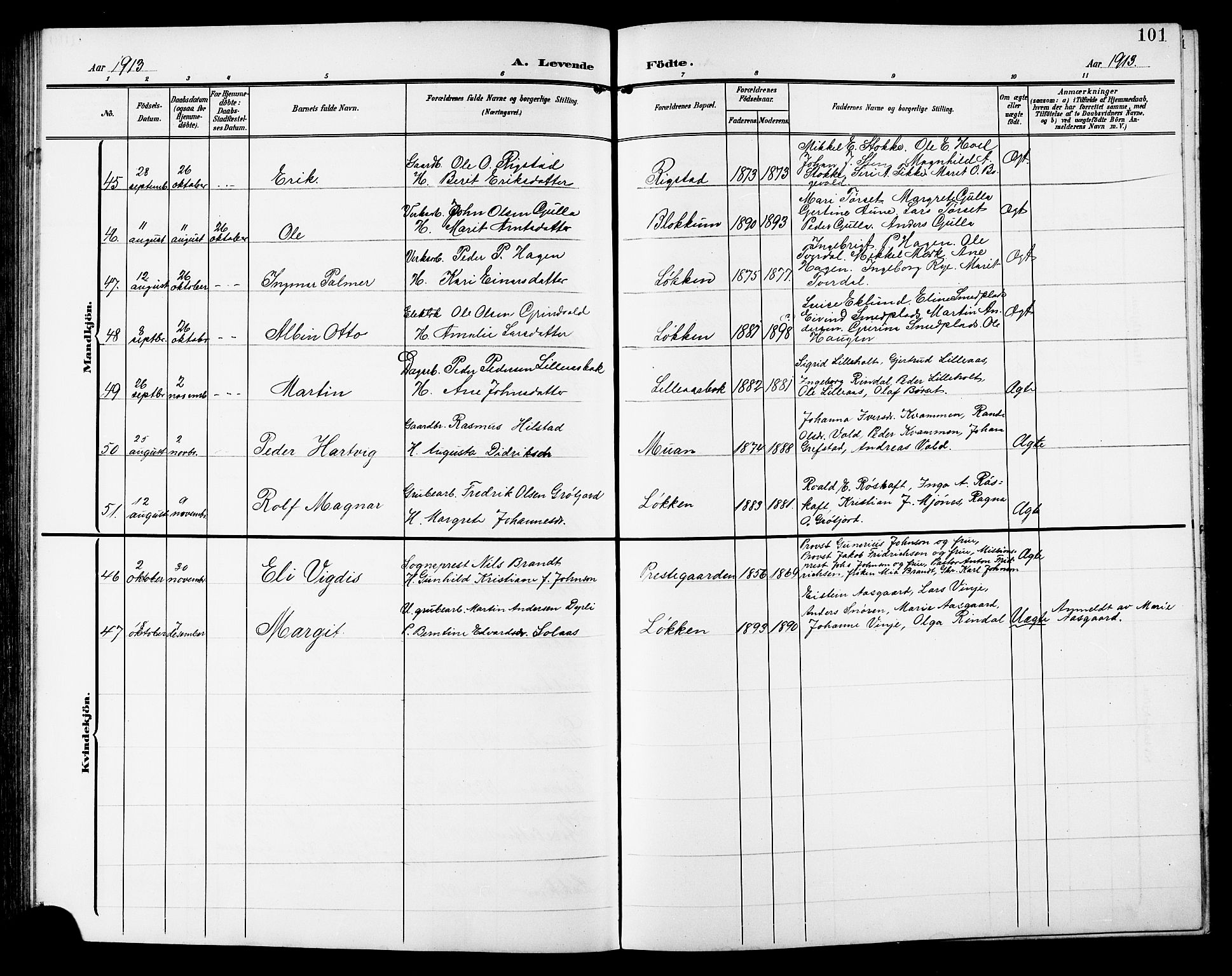 Ministerialprotokoller, klokkerbøker og fødselsregistre - Sør-Trøndelag, AV/SAT-A-1456/672/L0864: Klokkerbok nr. 672C03, 1902-1914, s. 101