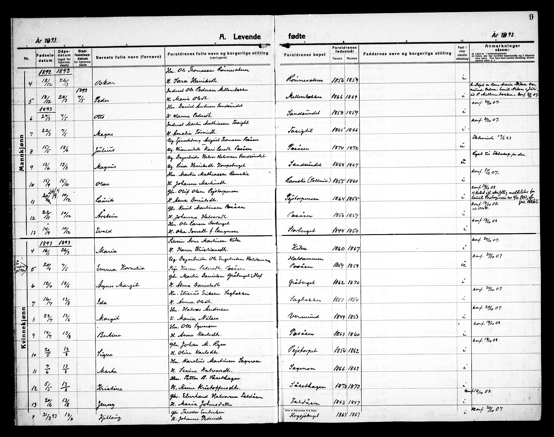 Åsnes prestekontor, AV/SAH-PREST-042/H/Ha/Haa/L0000E: Ministerialbok nr. 0C, 1890-1929, s. 9