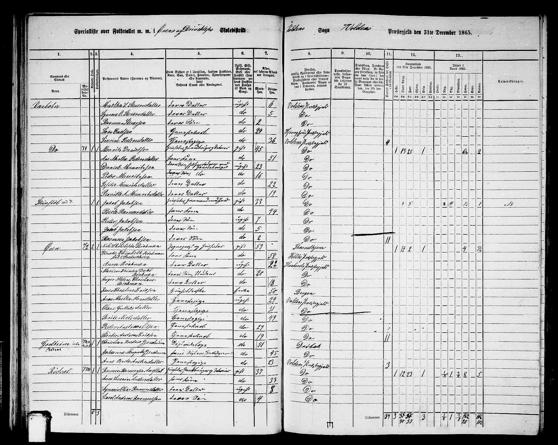RA, Folketelling 1865 for 1519P Volda prestegjeld, 1865, s. 43