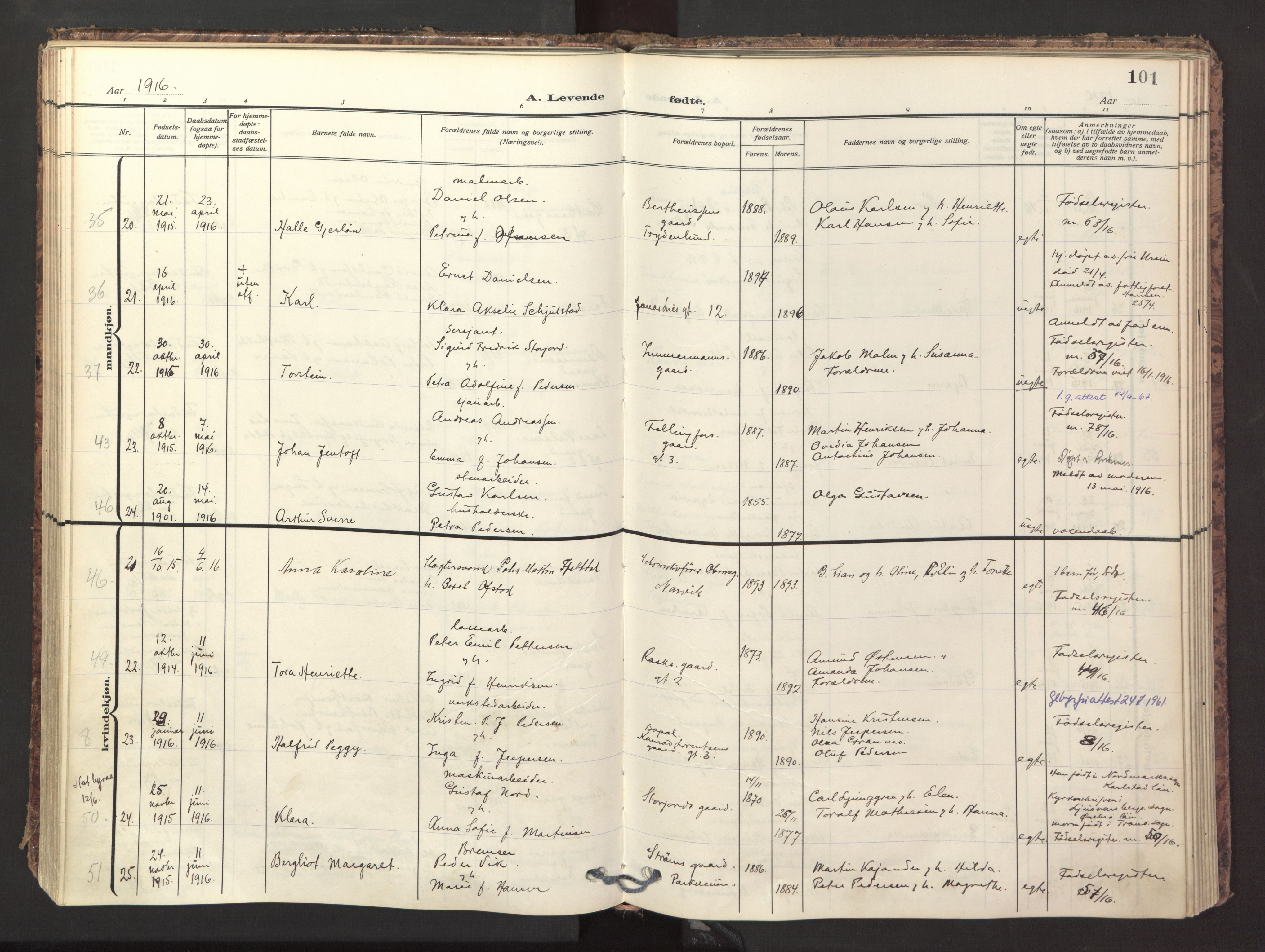 Ministerialprotokoller, klokkerbøker og fødselsregistre - Nordland, AV/SAT-A-1459/871/L1001: Ministerialbok nr. 871A17, 1911-1921, s. 101