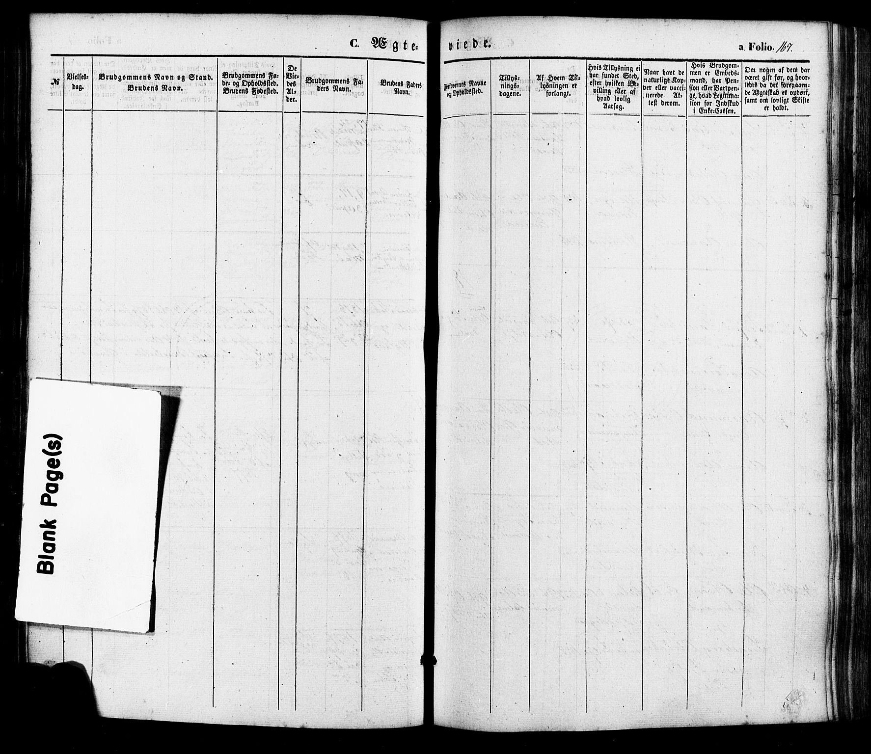 Søgne sokneprestkontor, AV/SAK-1111-0037/F/Fa/Faa/L0002: Ministerialbok nr. A 2, 1854-1882, s. 167