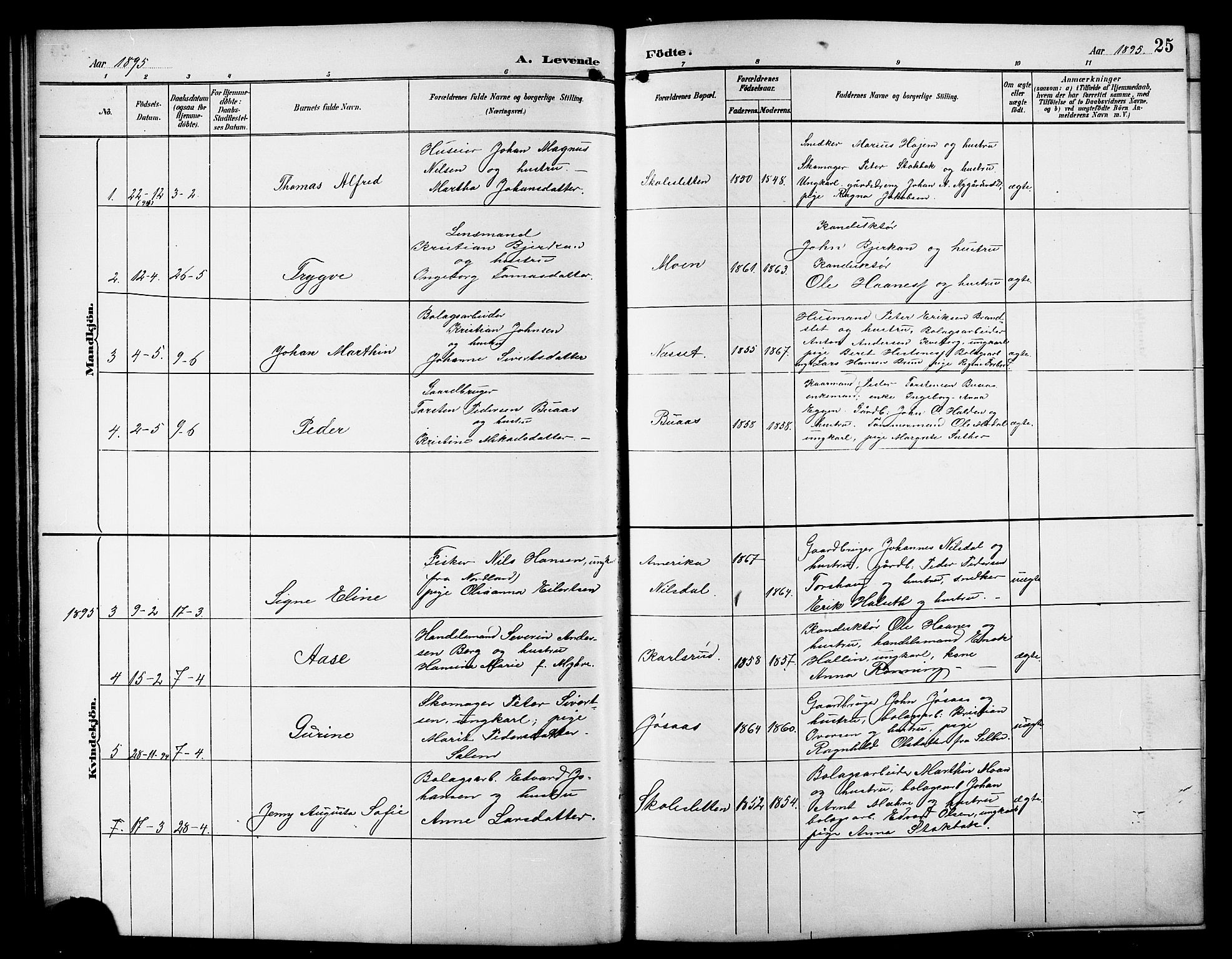 Ministerialprotokoller, klokkerbøker og fødselsregistre - Sør-Trøndelag, AV/SAT-A-1456/617/L0431: Klokkerbok nr. 617C01, 1889-1910, s. 25