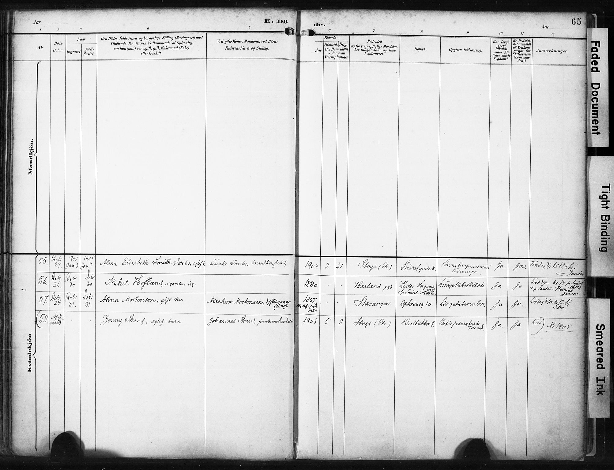 St. Petri sokneprestkontor, SAST/A-101813/001/30/30BA/L0022: Ministerialbok nr. A 22, 1895-1919, s. 65