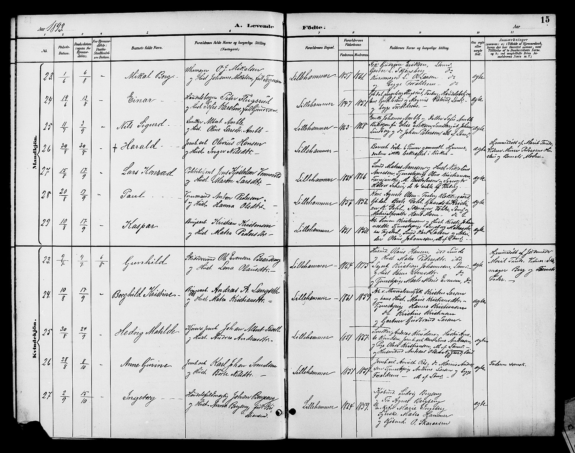 Fåberg prestekontor, AV/SAH-PREST-086/H/Ha/Hab/L0008: Klokkerbok nr. 8, 1891-1900, s. 15