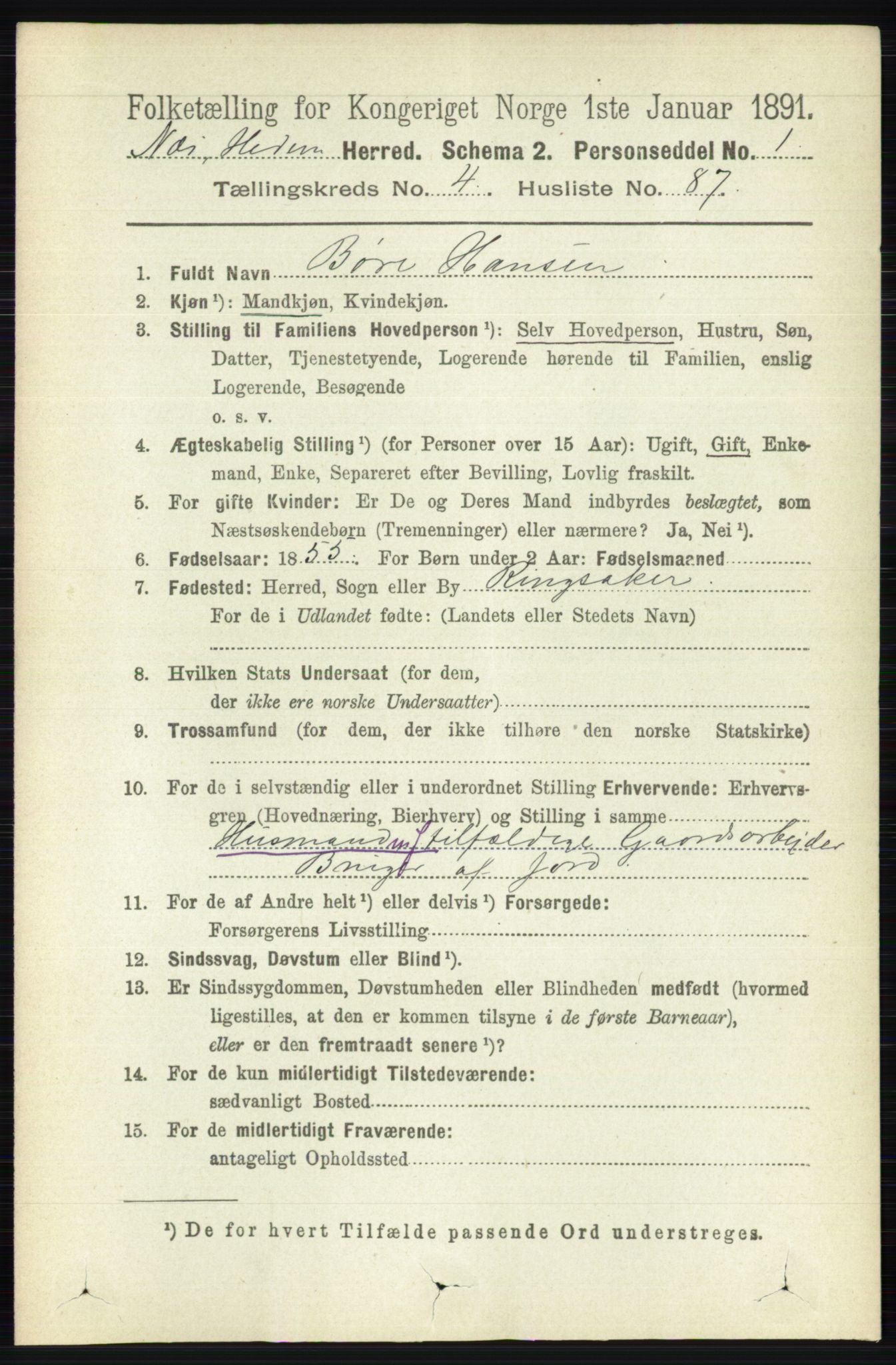 RA, Folketelling 1891 for 0411 Nes herred, 1891, s. 2503