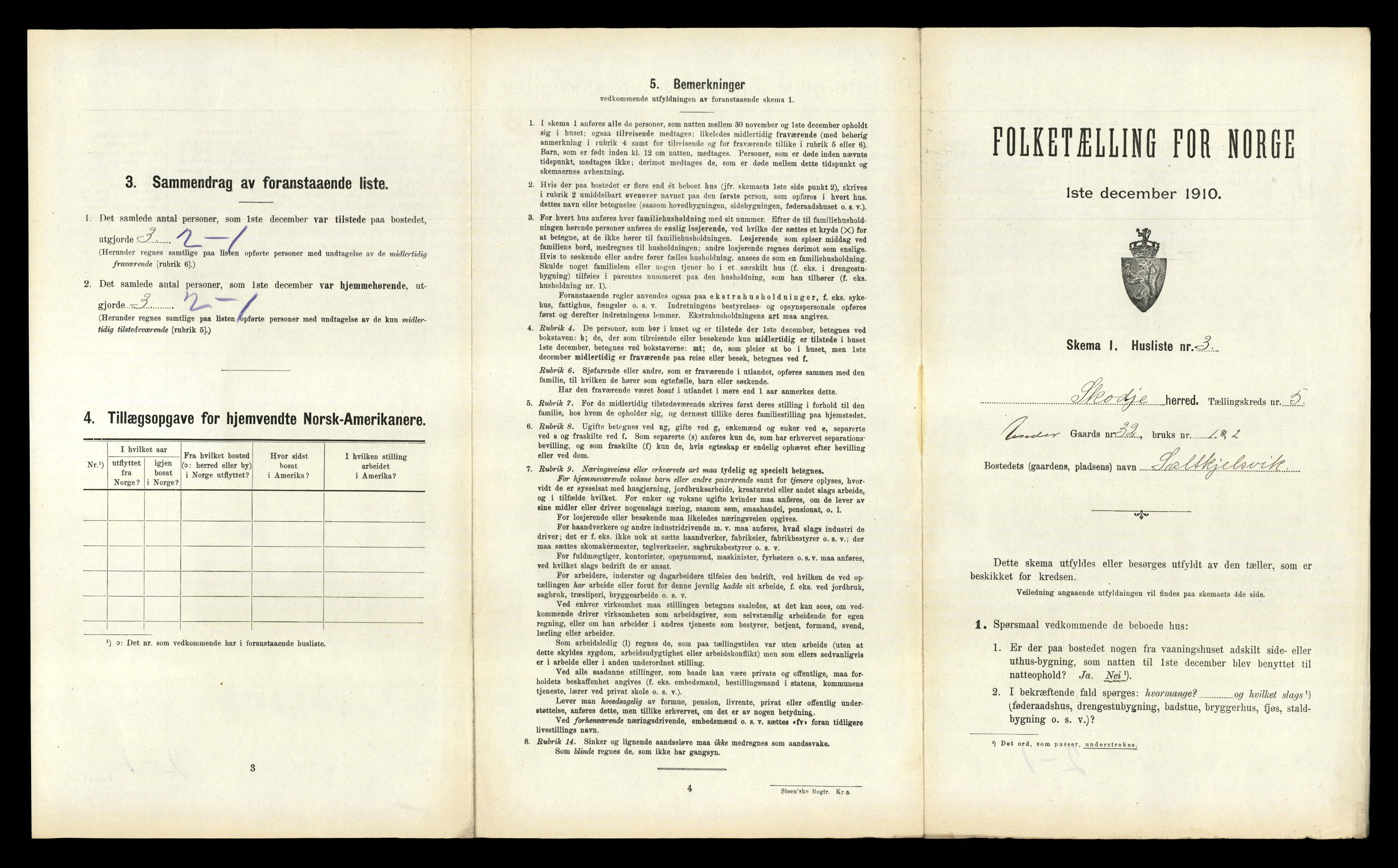 RA, Folketelling 1910 for 1529 Skodje herred, 1910, s. 213