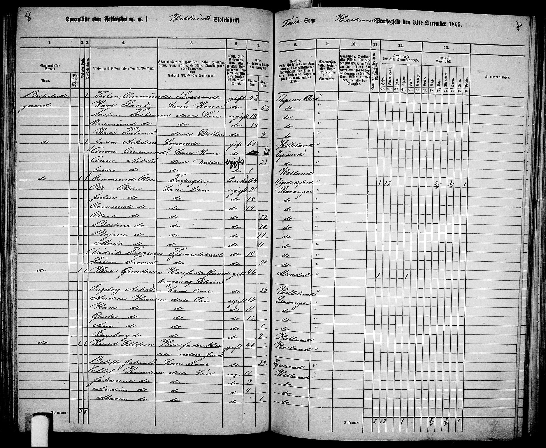 RA, Folketelling 1865 for 1126P Hetland prestegjeld, 1865, s. 122
