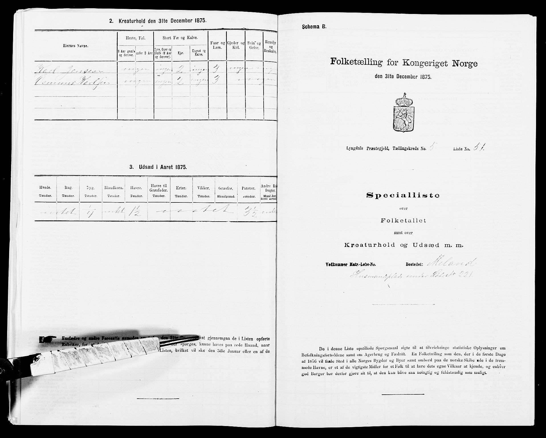 SAK, Folketelling 1875 for 1032P Lyngdal prestegjeld, 1875, s. 917