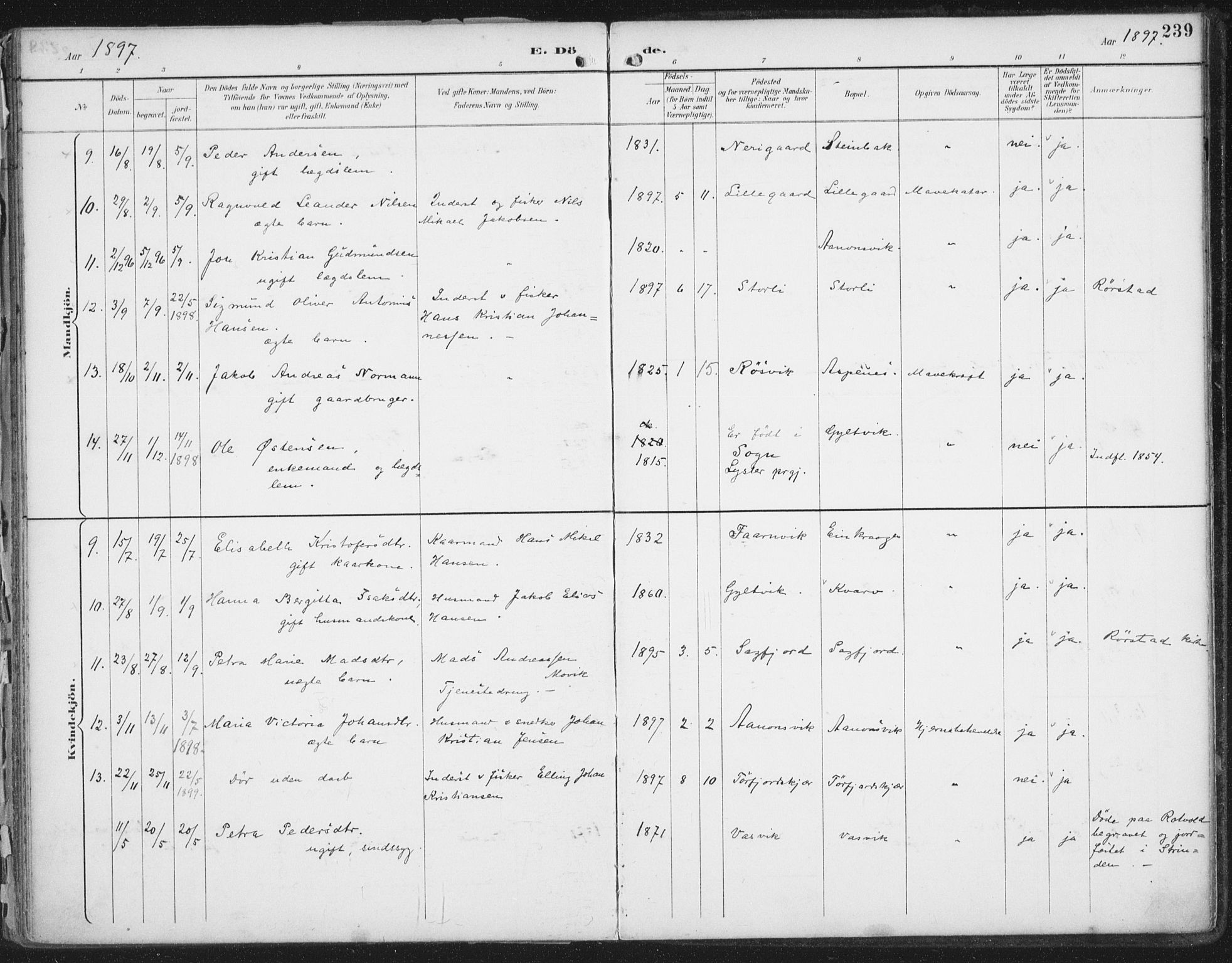 Ministerialprotokoller, klokkerbøker og fødselsregistre - Nordland, SAT/A-1459/854/L0779: Ministerialbok nr. 854A02, 1892-1909, s. 239