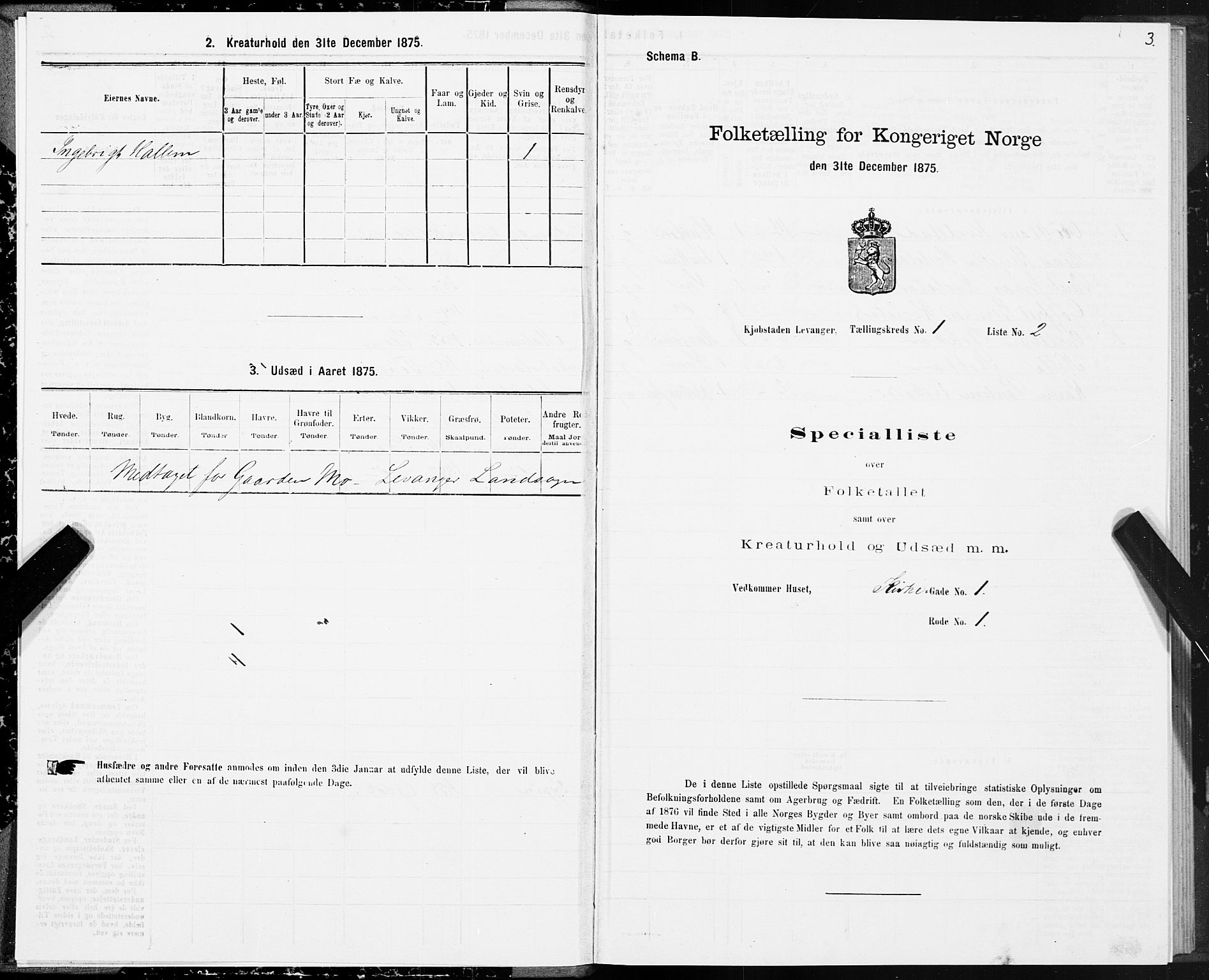 SAT, Folketelling 1875 for 1701B Levanger prestegjeld, Levanger kjøpstad, 1875, s. 3