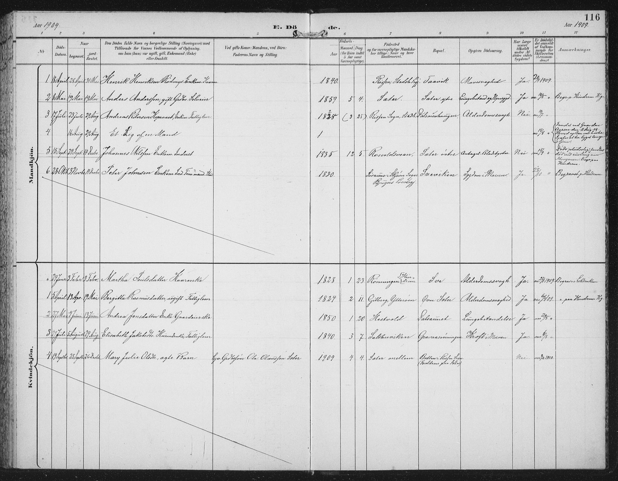 Ministerialprotokoller, klokkerbøker og fødselsregistre - Nord-Trøndelag, AV/SAT-A-1458/702/L0024: Ministerialbok nr. 702A02, 1898-1914, s. 116