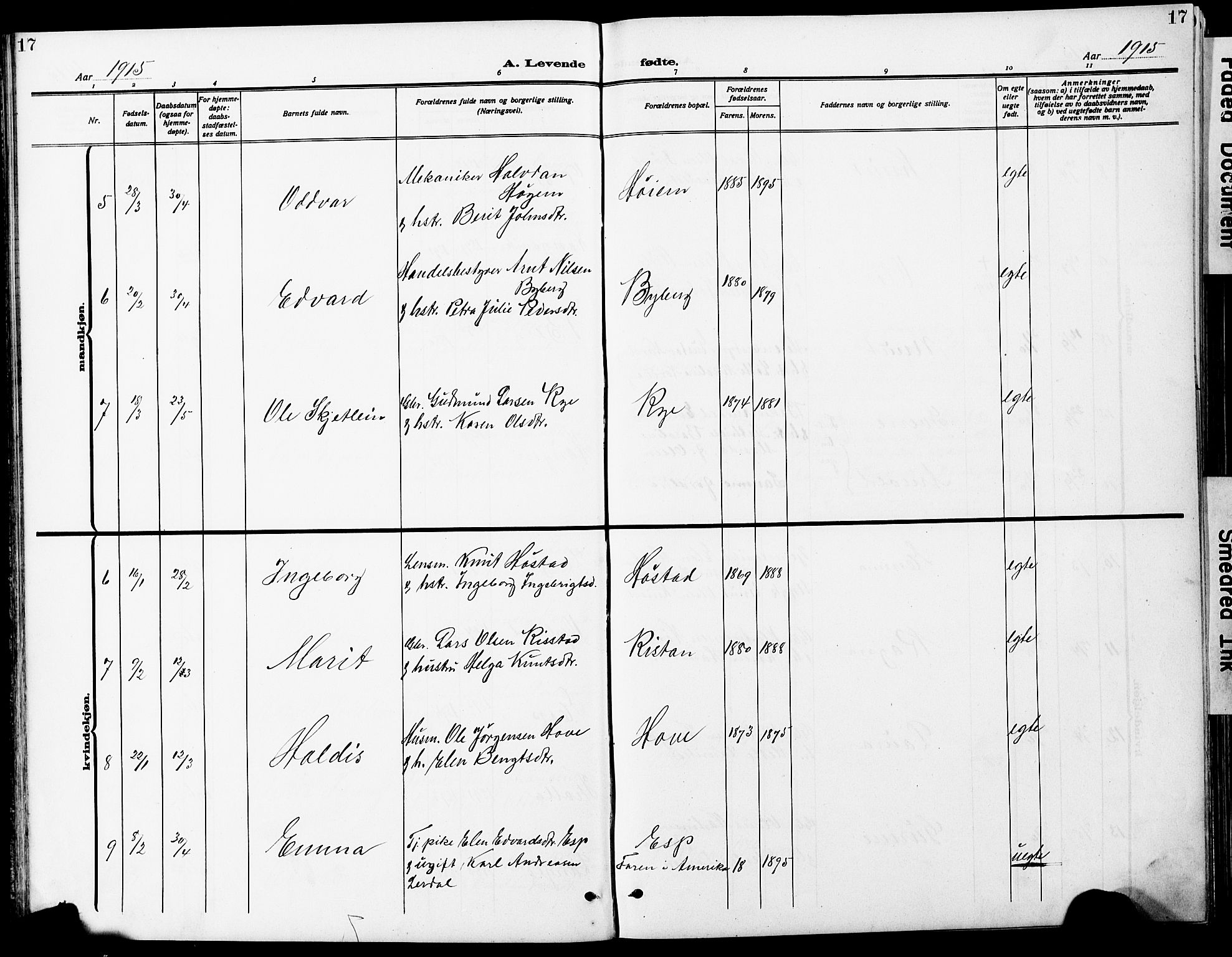 Ministerialprotokoller, klokkerbøker og fødselsregistre - Sør-Trøndelag, AV/SAT-A-1456/612/L0388: Klokkerbok nr. 612C04, 1909-1929, s. 17