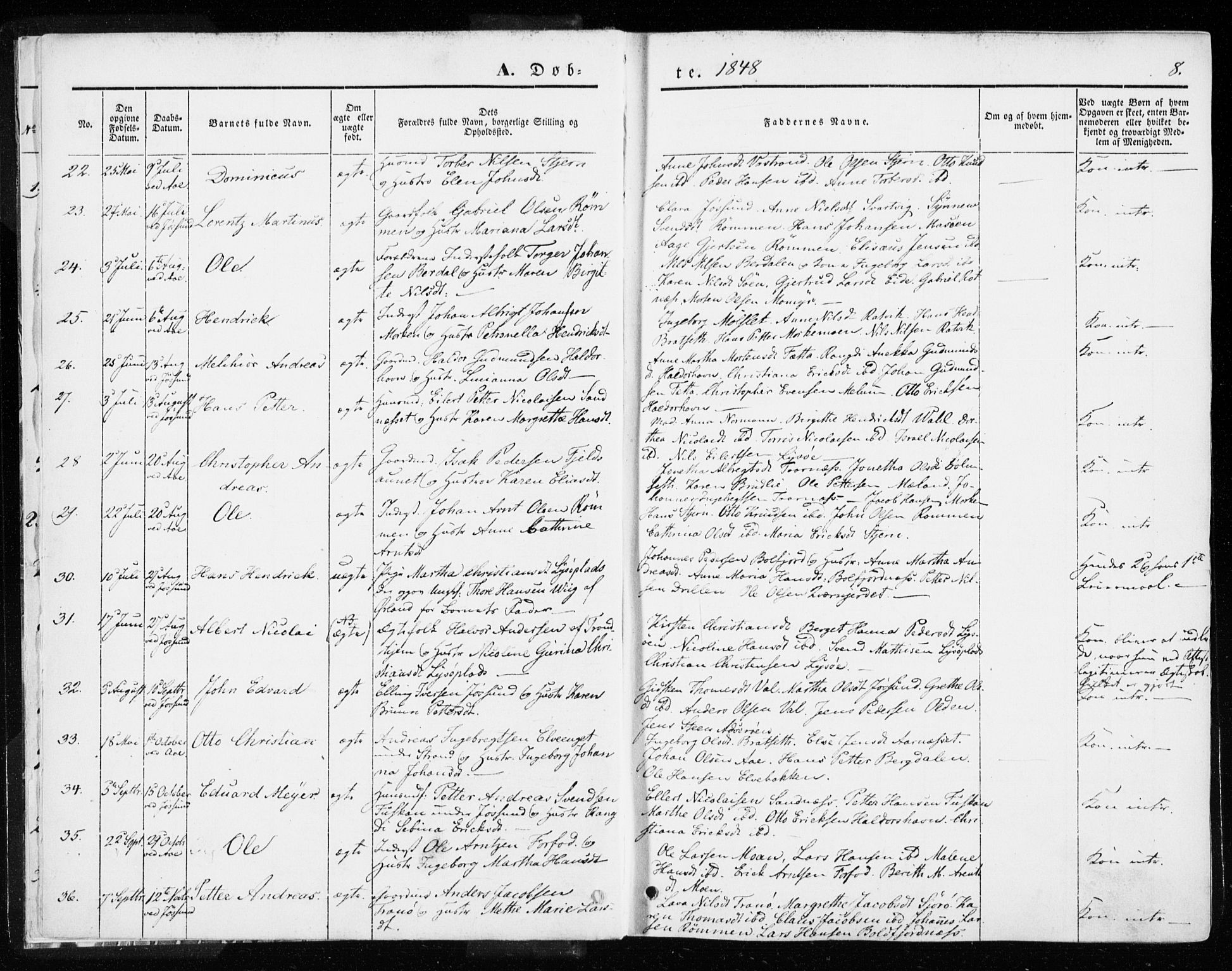 Ministerialprotokoller, klokkerbøker og fødselsregistre - Sør-Trøndelag, SAT/A-1456/655/L0677: Ministerialbok nr. 655A06, 1847-1860, s. 8
