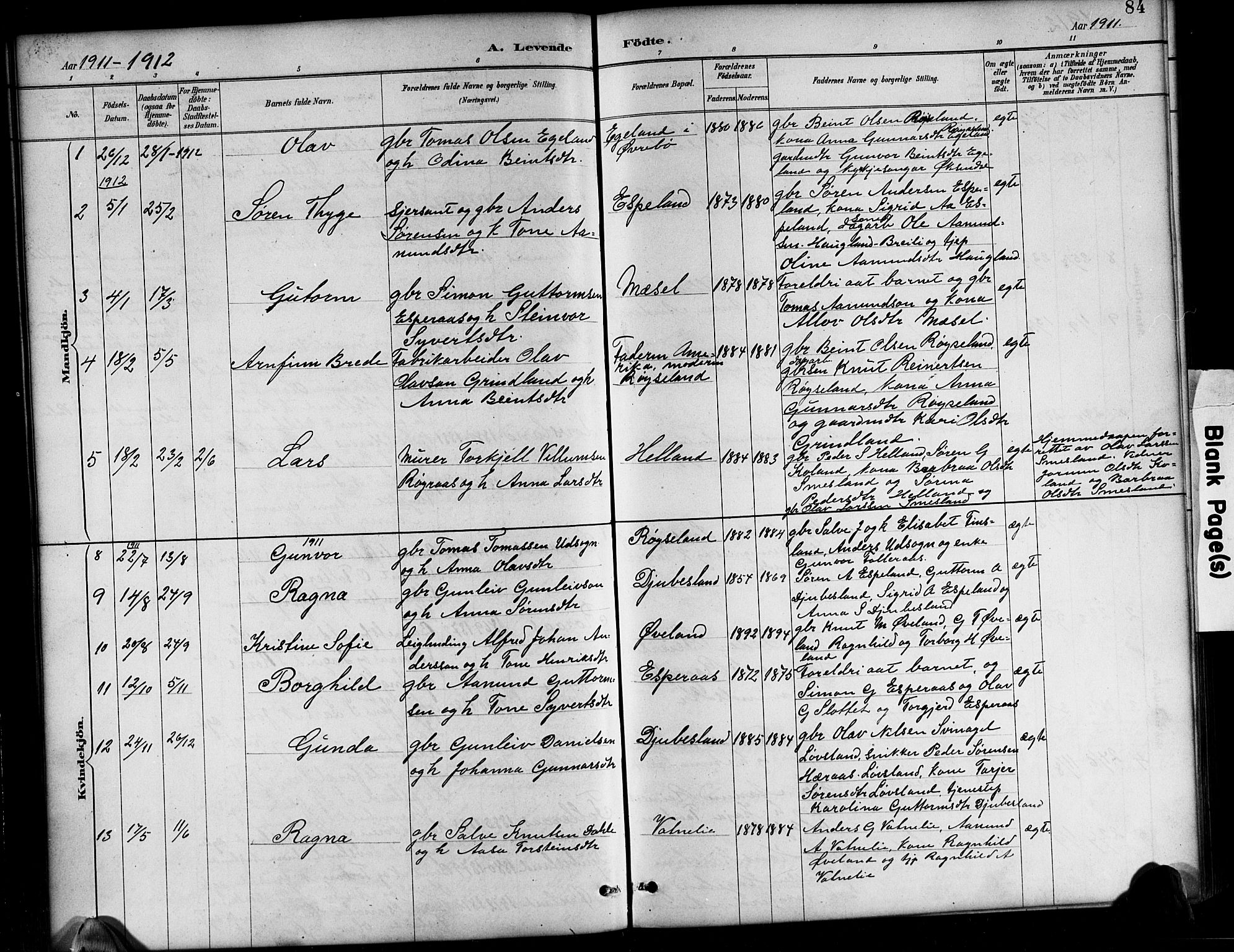 Bjelland sokneprestkontor, AV/SAK-1111-0005/F/Fb/Fbb/L0005: Klokkerbok nr. B 5, 1887-1918, s. 84