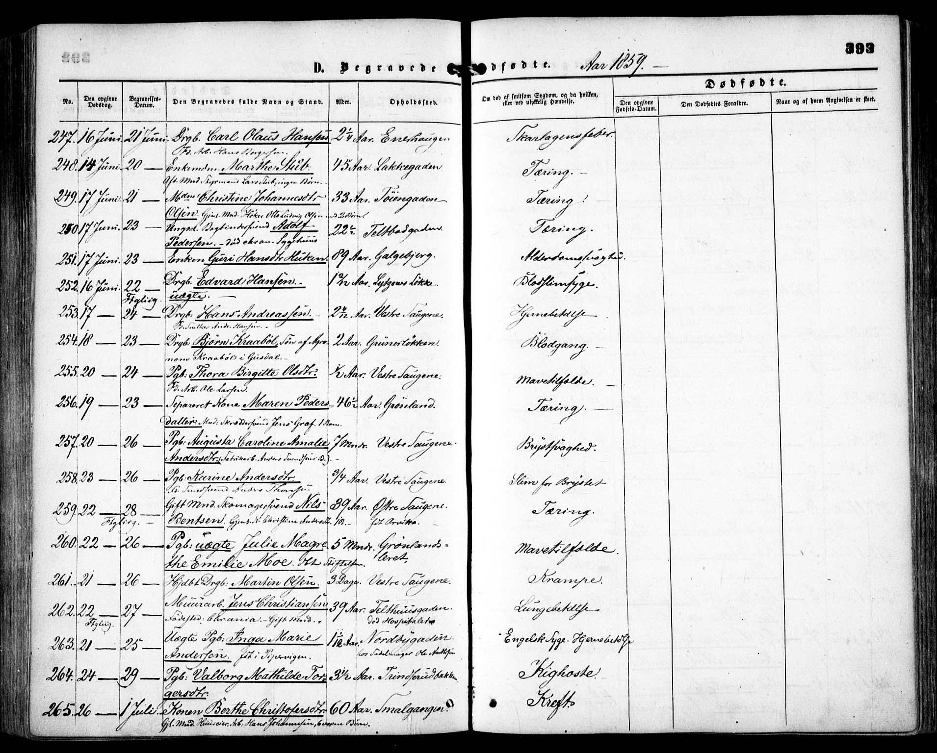 Grønland prestekontor Kirkebøker, SAO/A-10848/F/Fa/L0001: Ministerialbok nr. 1, 1859-1861, s. 393