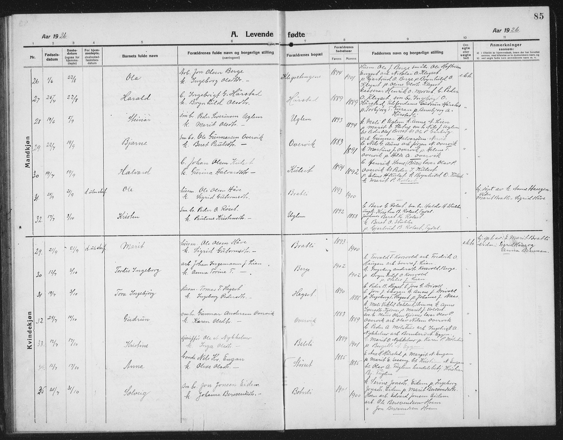 Ministerialprotokoller, klokkerbøker og fødselsregistre - Sør-Trøndelag, AV/SAT-A-1456/695/L1158: Klokkerbok nr. 695C09, 1913-1940, s. 85