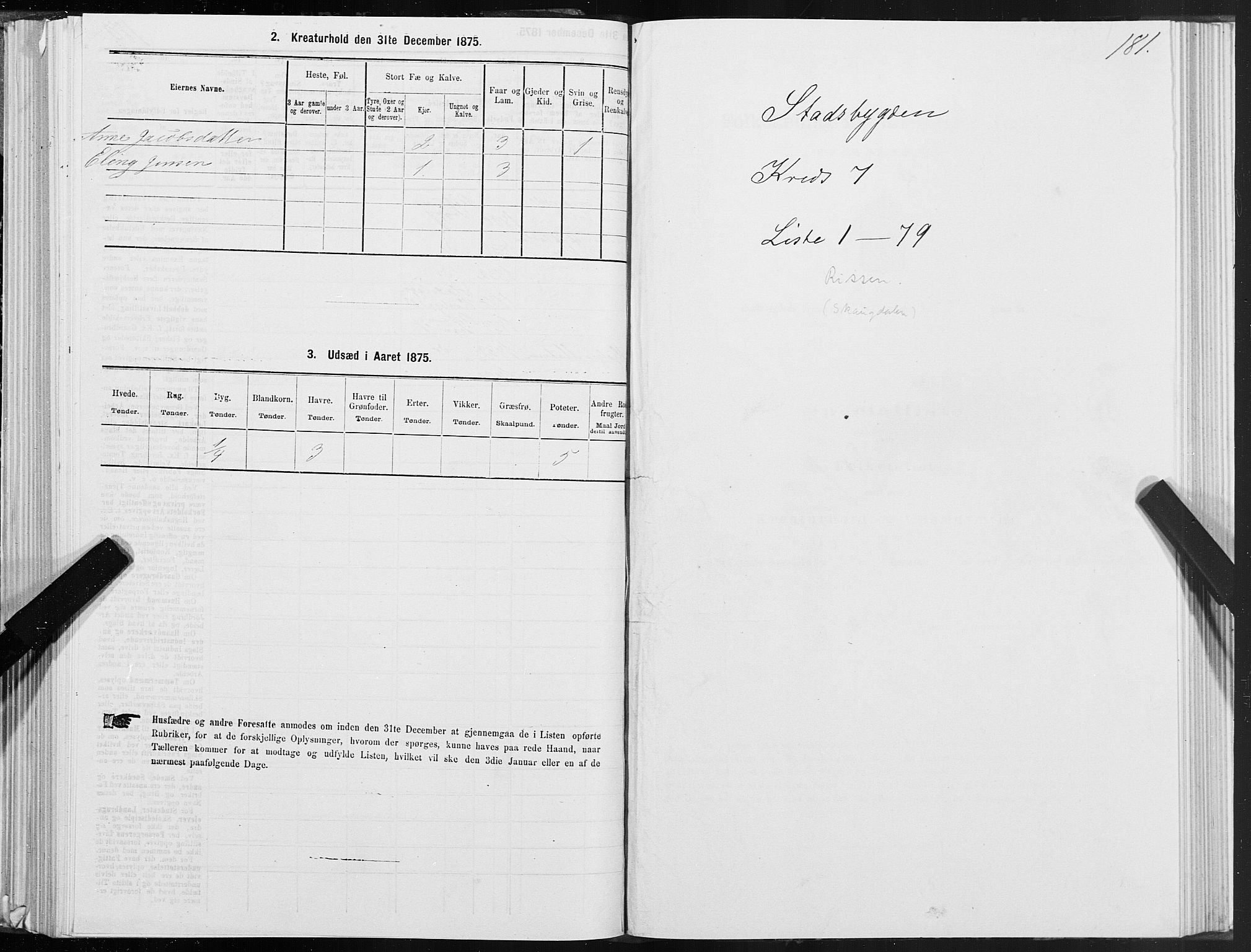 SAT, Folketelling 1875 for 1625P Stadsbygd prestegjeld, 1875, s. 4181