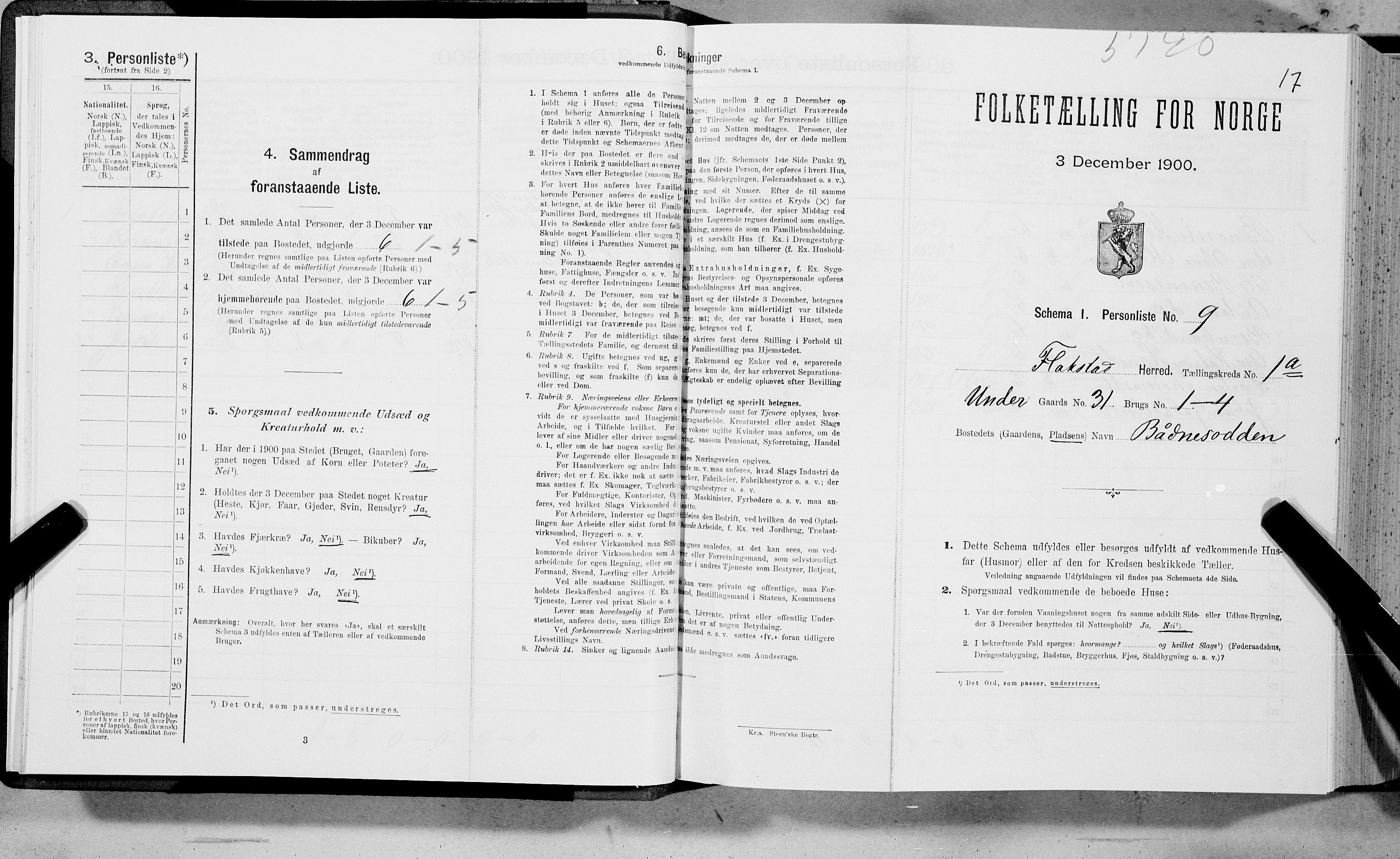 SAT, Folketelling 1900 for 1859 Flakstad herred, 1900, s. 36