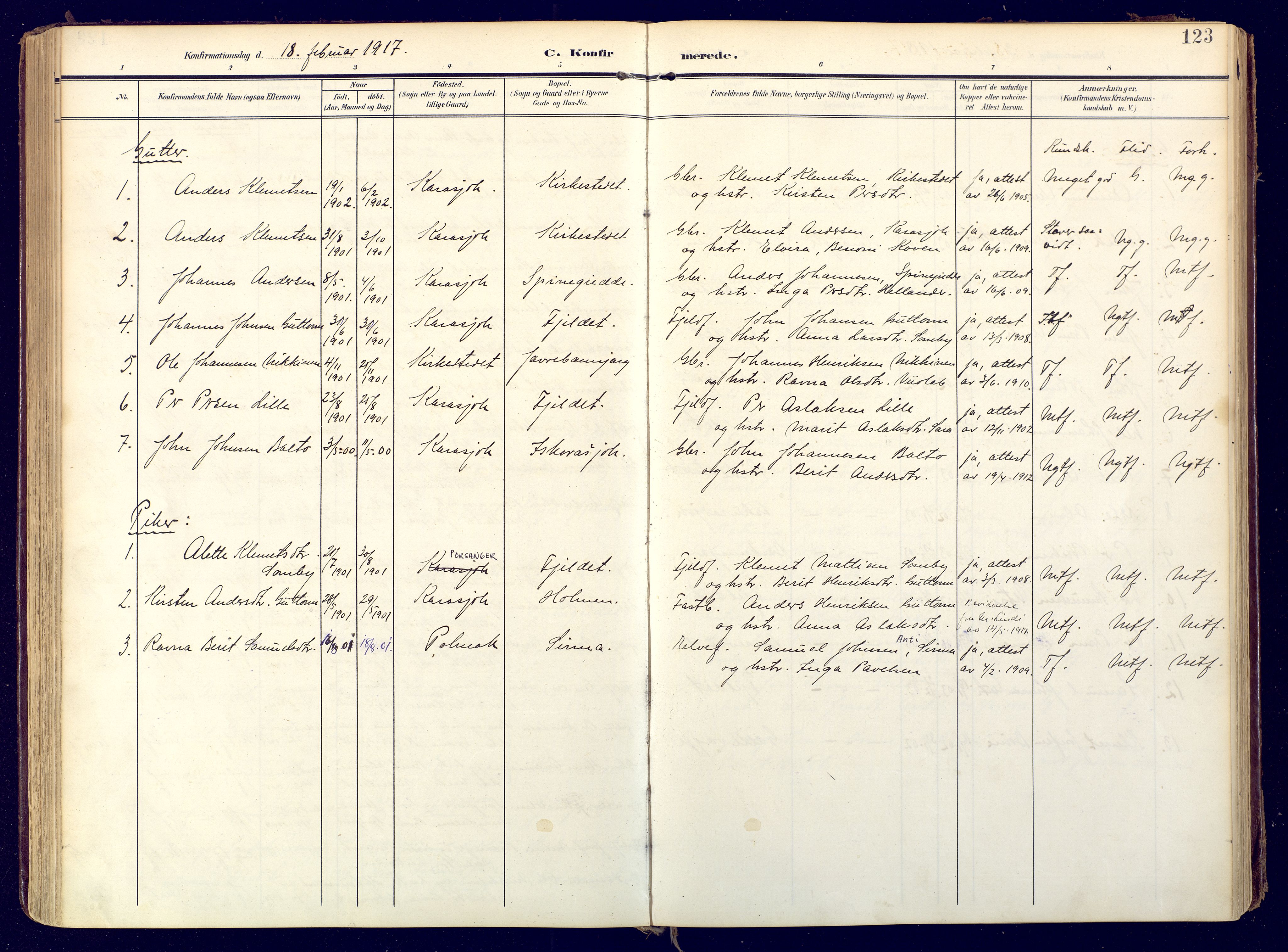 Karasjok sokneprestkontor, AV/SATØ-S-1352/H/Ha: Ministerialbok nr. 3, 1907-1926, s. 123