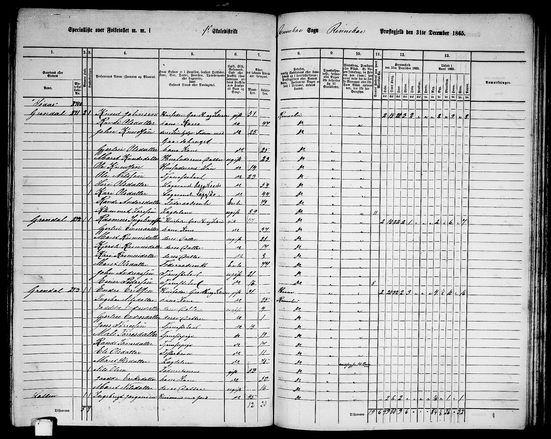RA, Folketelling 1865 for 1635P Rennebu prestegjeld, 1865, s. 21
