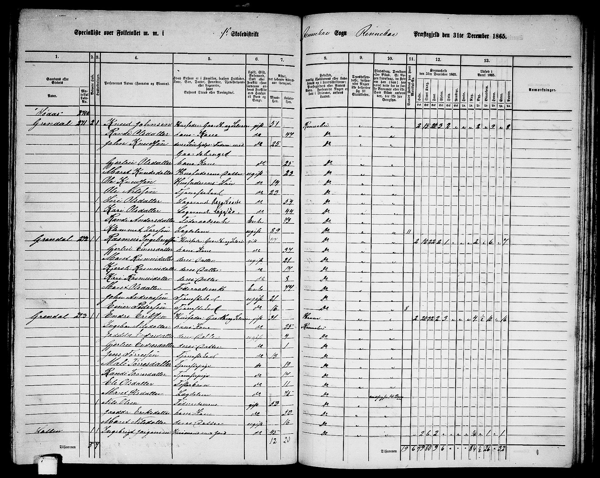 RA, Folketelling 1865 for 1635P Rennebu prestegjeld, 1865, s. 21