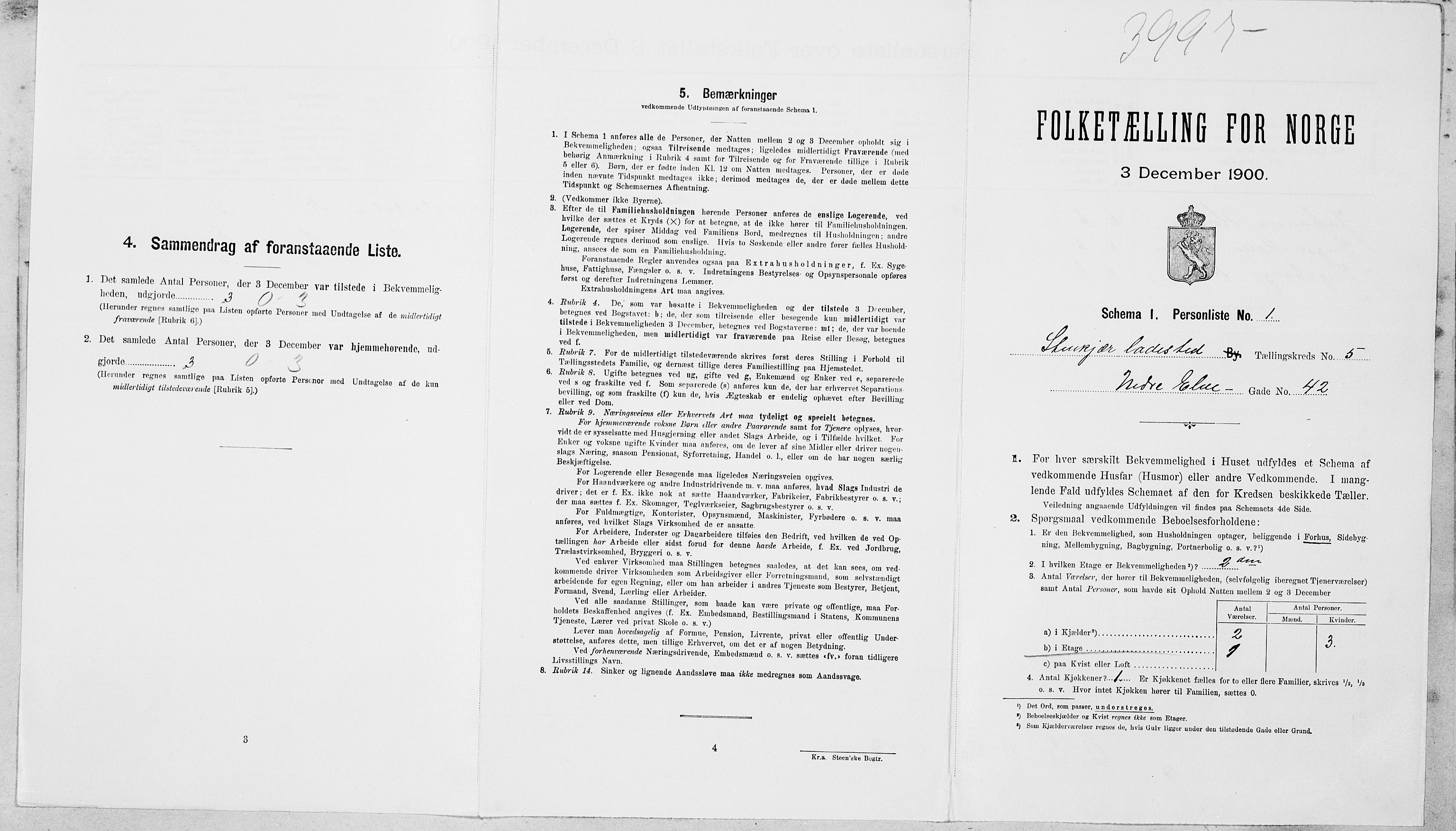 SAT, Folketelling 1900 for 1702 Steinkjer ladested, 1900, s. 74