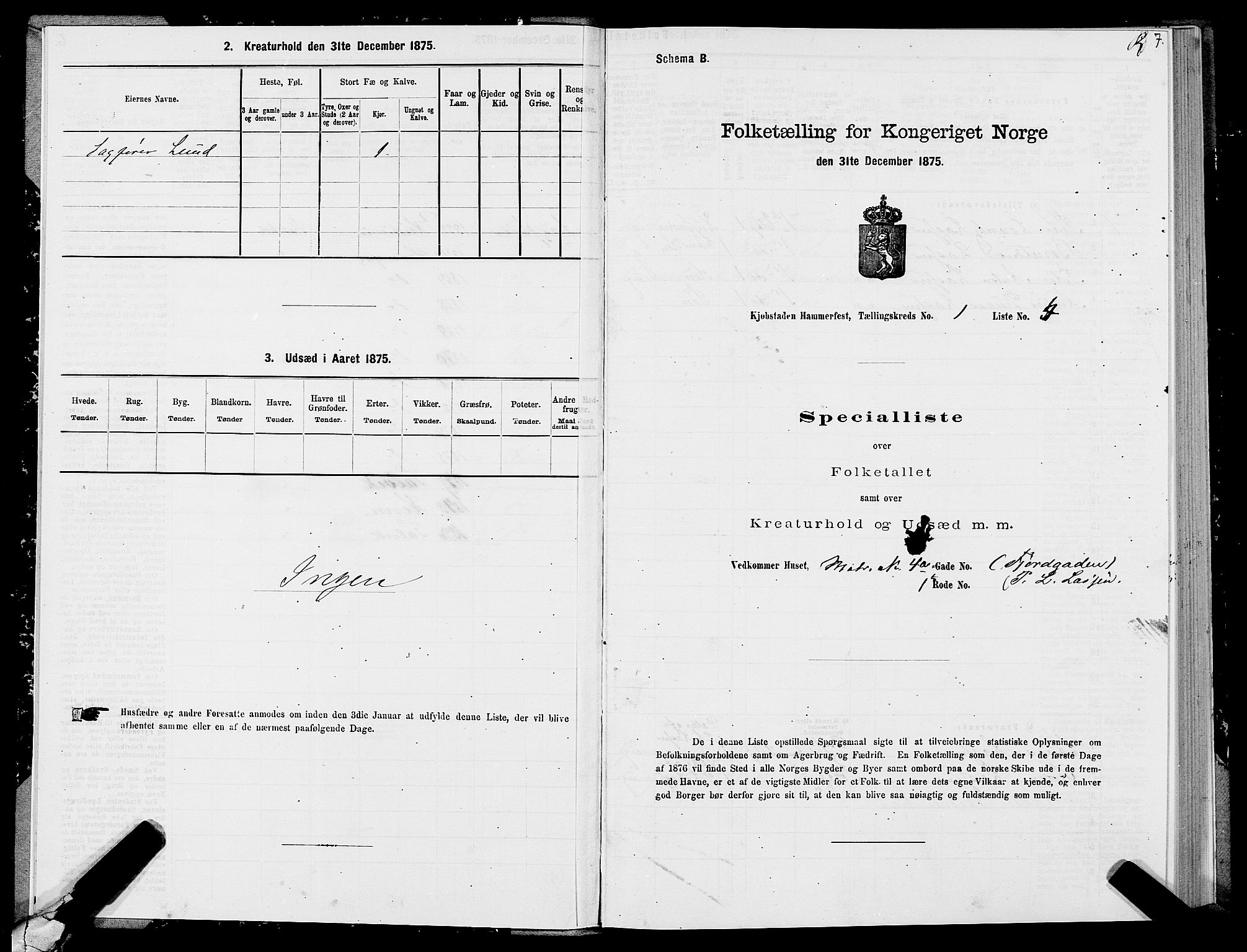 SATØ, Folketelling 1875 for 2001B Hammerfest prestegjeld, Hammerfest kjøpstad, 1875, s. 1007