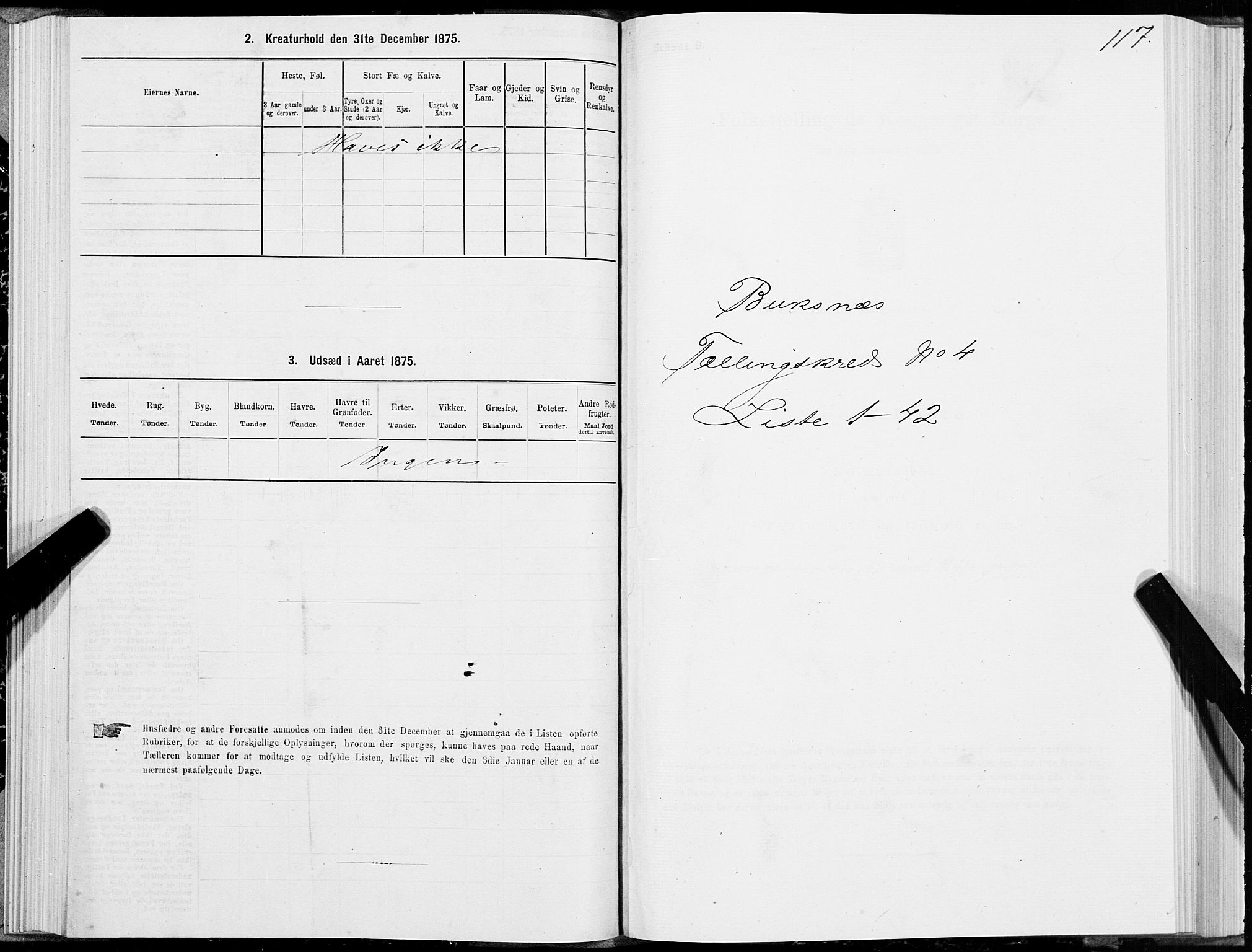 SAT, Folketelling 1875 for 1860P Buksnes prestegjeld, 1875, s. 2117