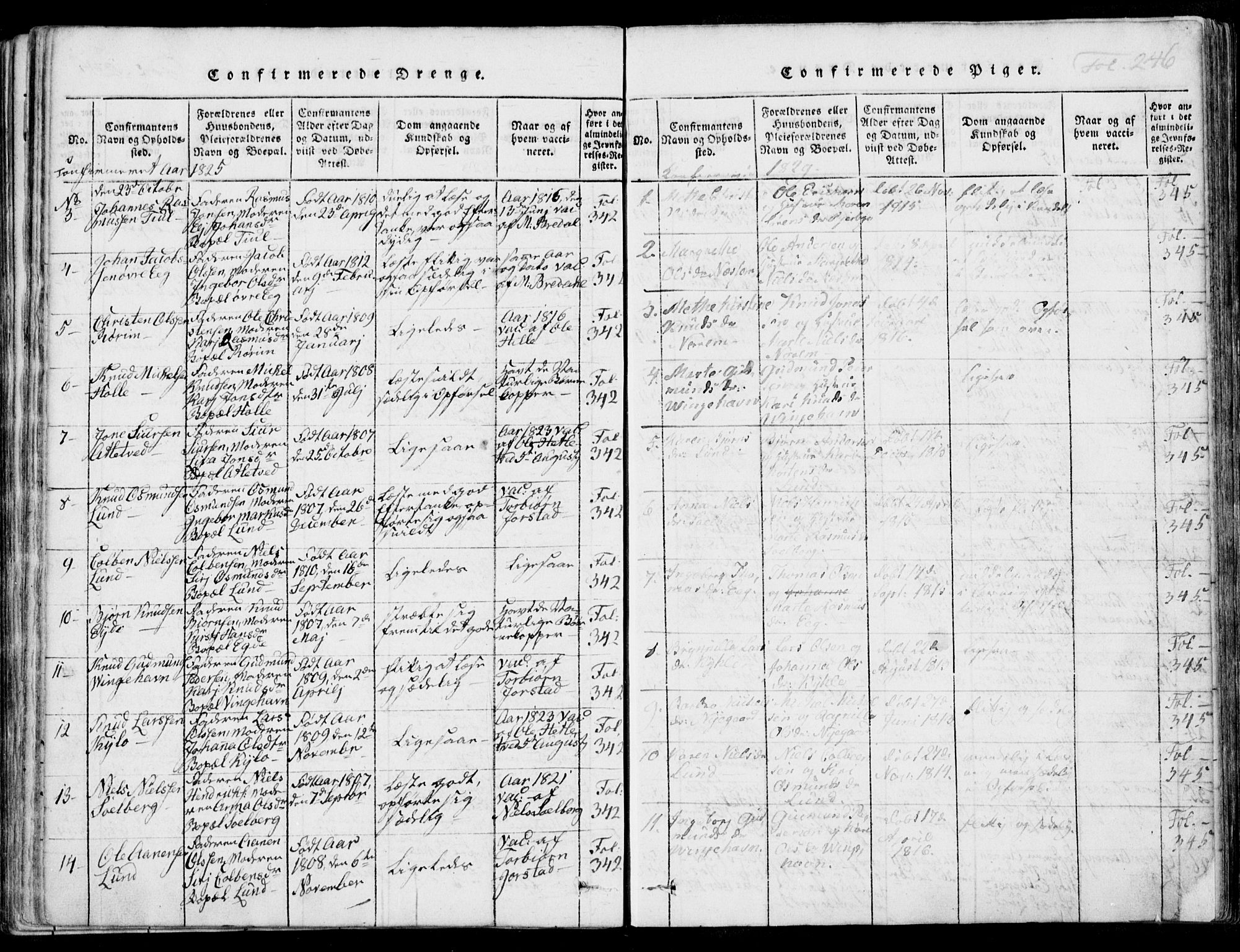 Nedstrand sokneprestkontor, SAST/A-101841/01/IV: Ministerialbok nr. A 7, 1816-1870, s. 246