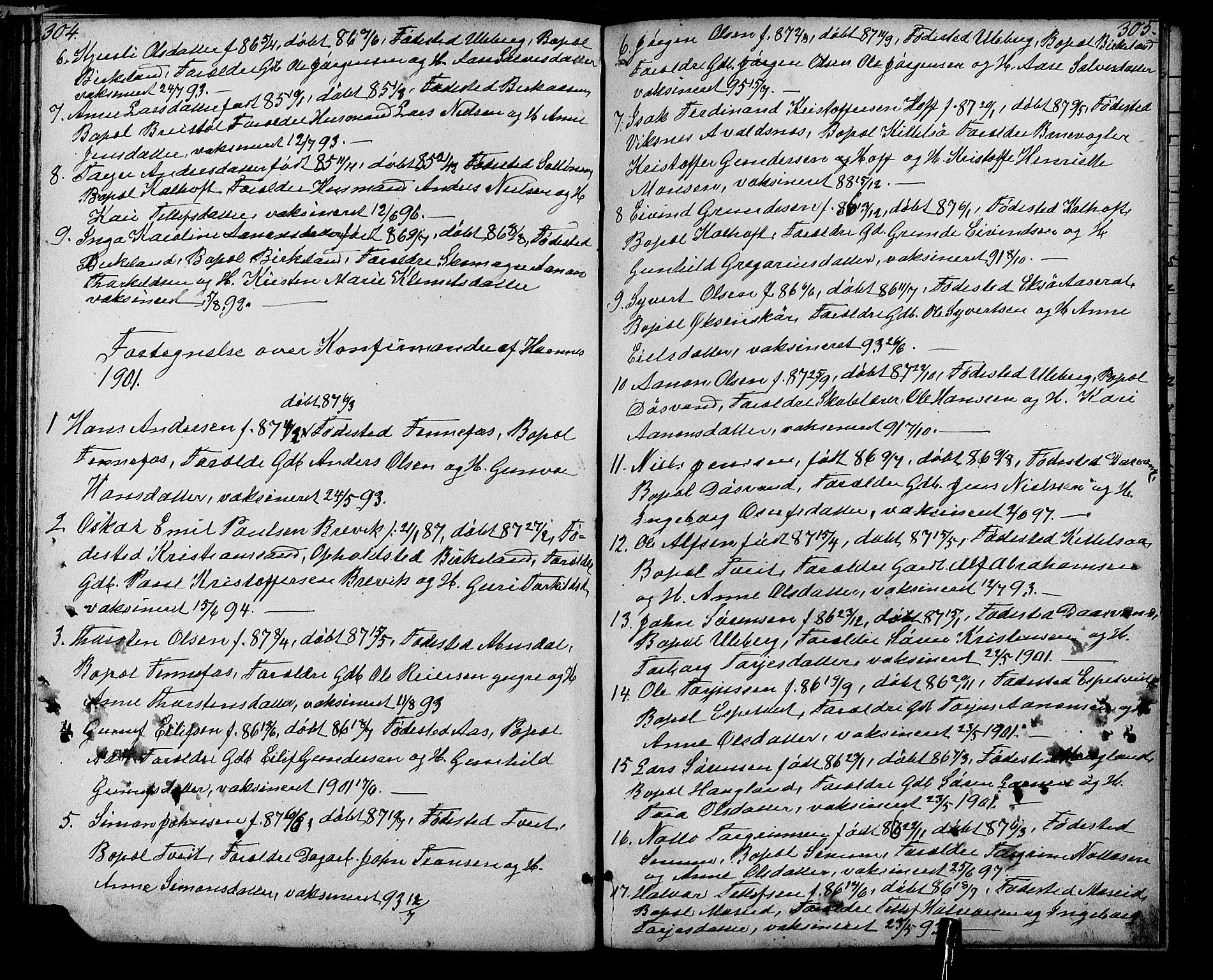 Evje sokneprestkontor, AV/SAK-1111-0008/F/Fb/Fbb/L0002: Klokkerbok nr. B 2, 1879-1909, s. 304-305