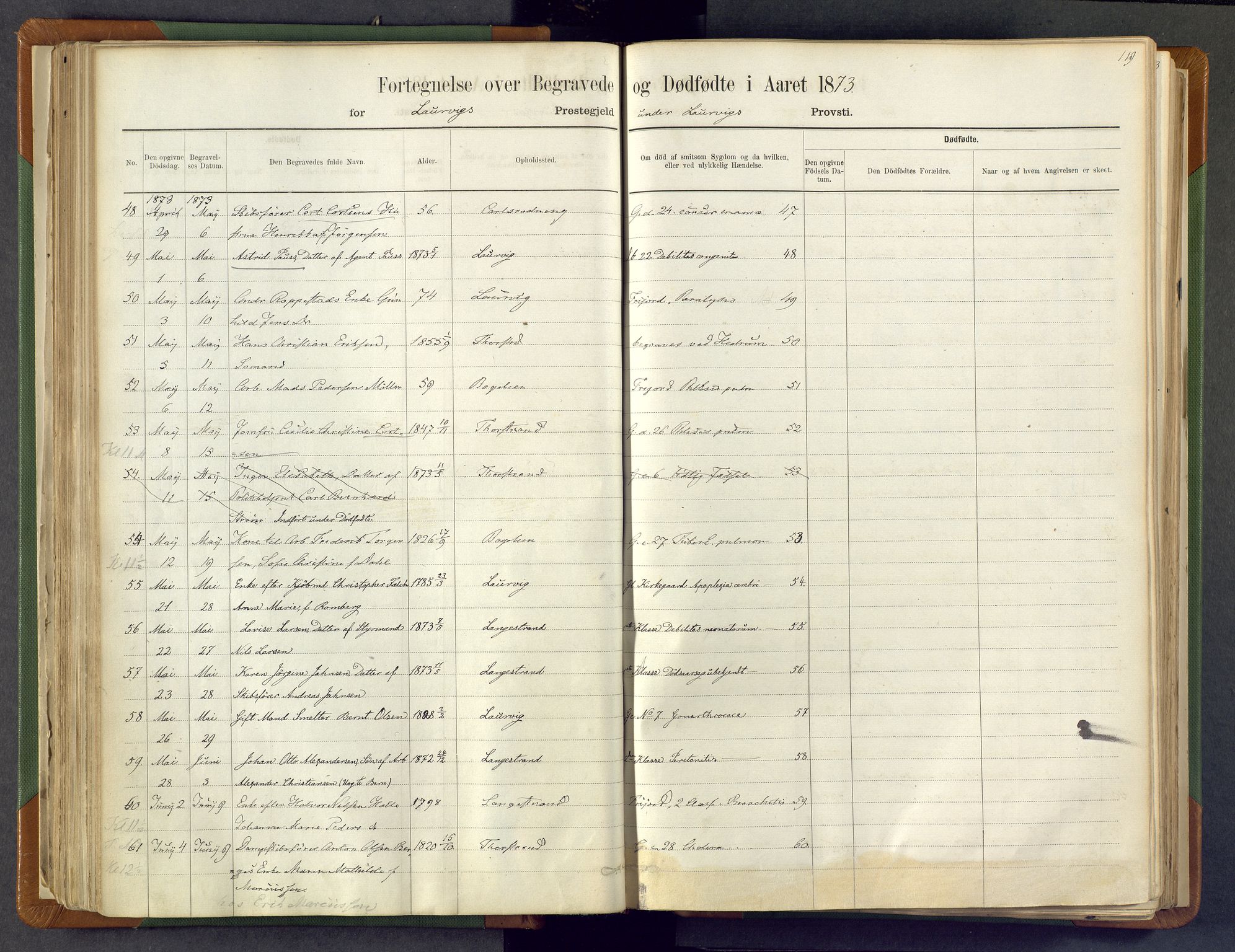 Larvik kirkebøker, SAKO/A-352/F/Fa/L0007: Ministerialbok nr. I 7, 1871-1883, s. 119