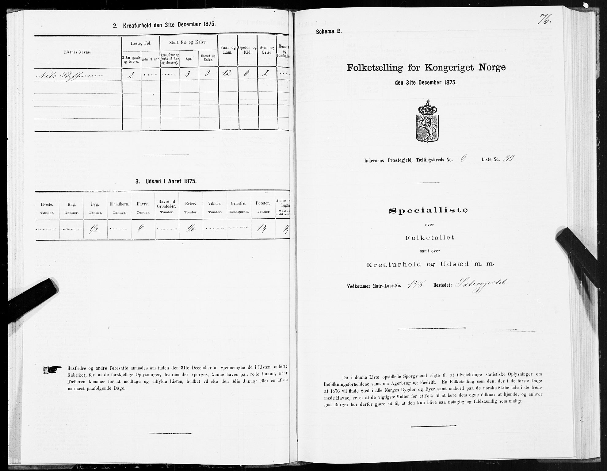 SAT, Folketelling 1875 for 1729P Inderøy prestegjeld, 1875, s. 4076