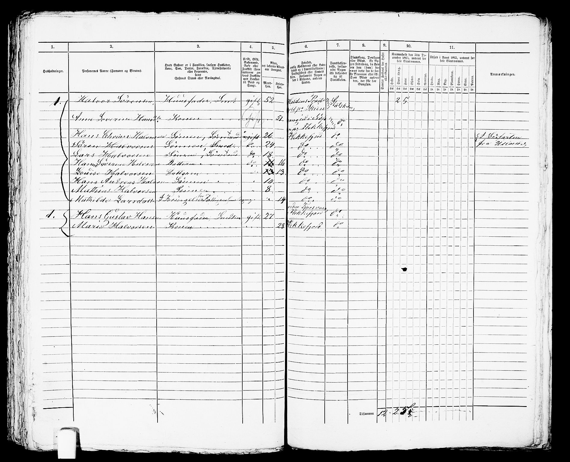 RA, Folketelling 1865 for 1004B Flekkefjord prestegjeld, Flekkefjord kjøpstad, 1865, s. 433