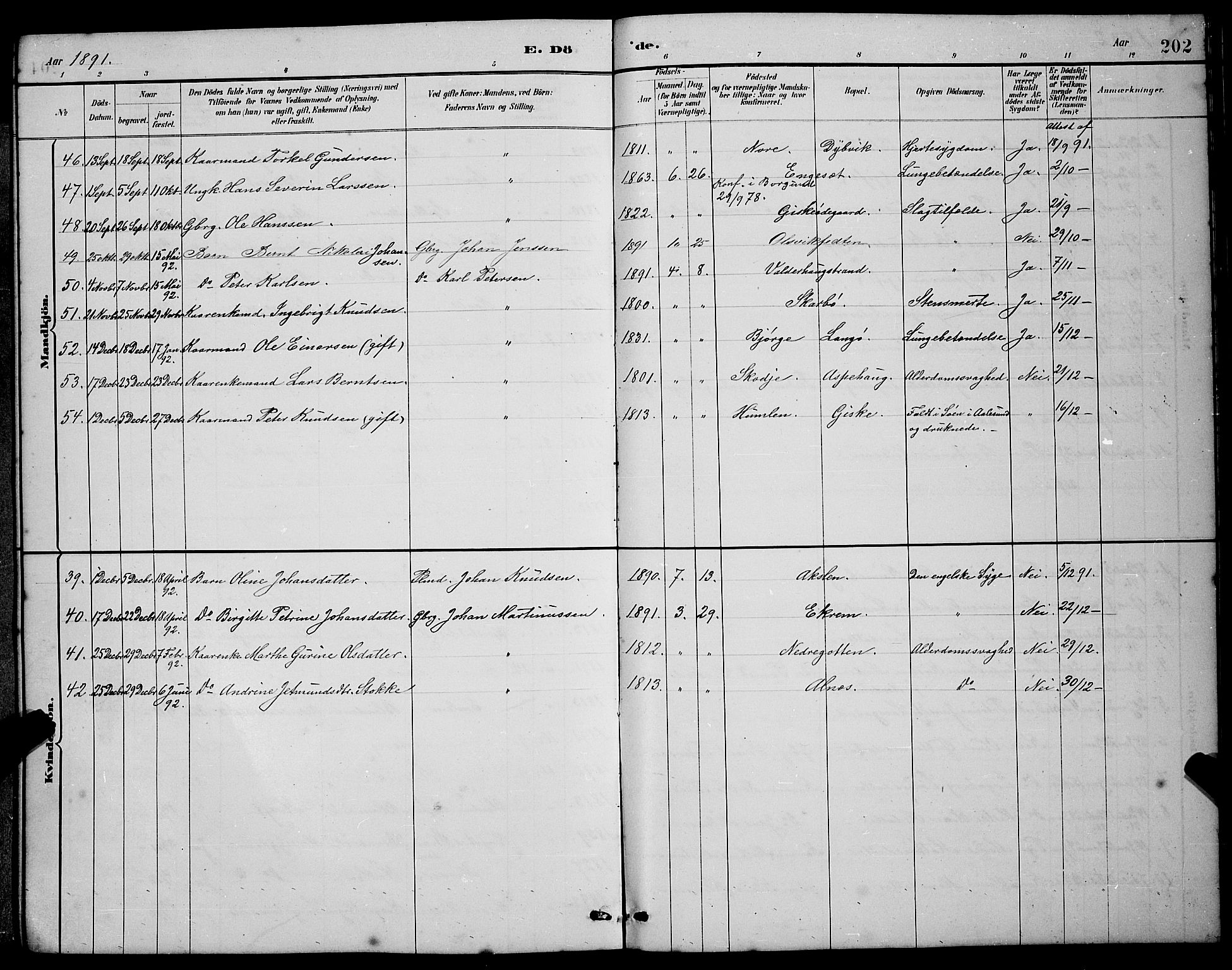 Ministerialprotokoller, klokkerbøker og fødselsregistre - Møre og Romsdal, AV/SAT-A-1454/528/L0430: Klokkerbok nr. 528C11, 1884-1899, s. 202