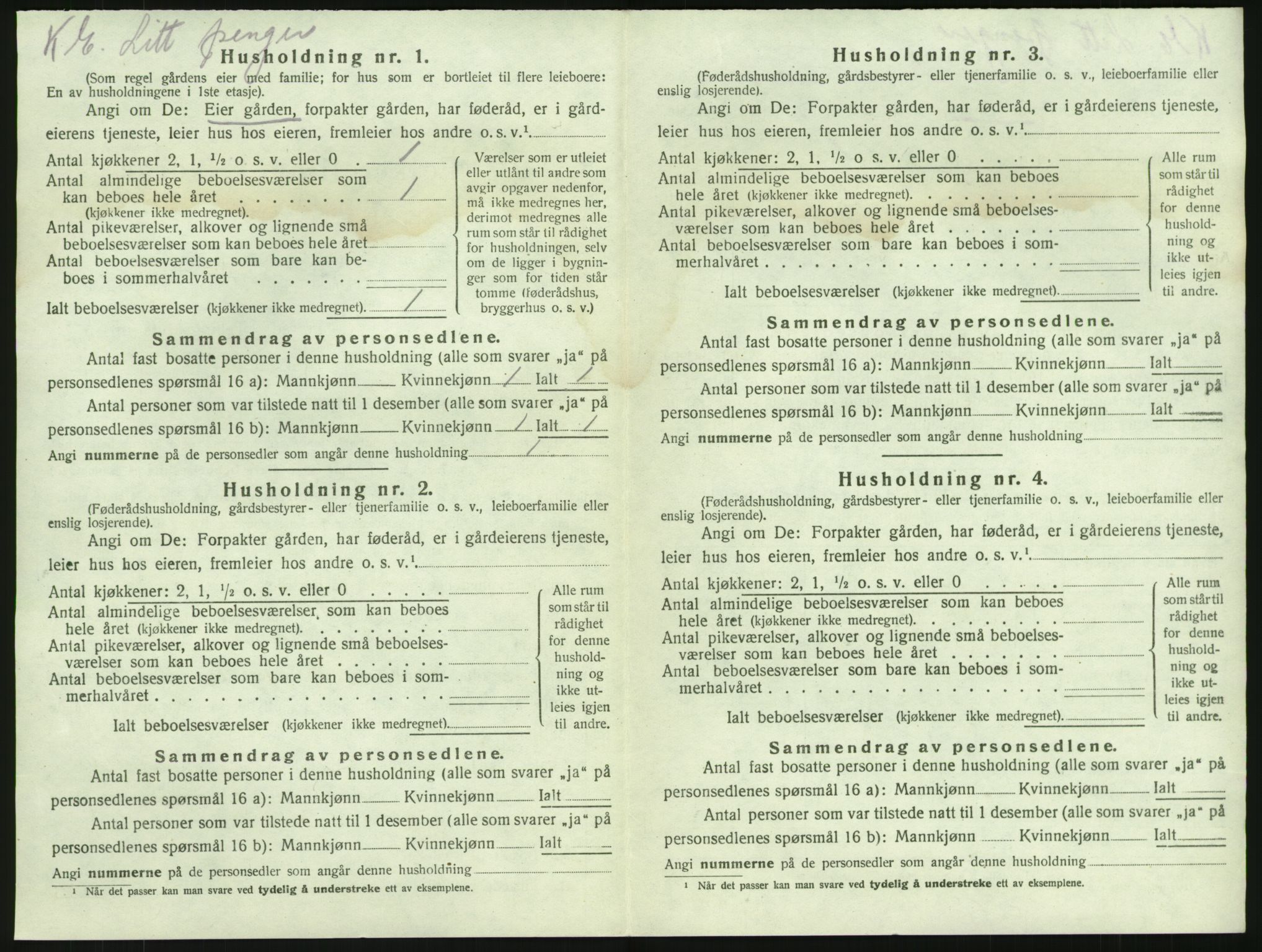 SAKO, Folketelling 1920 for 0726 Brunlanes herred, 1920, s. 1484