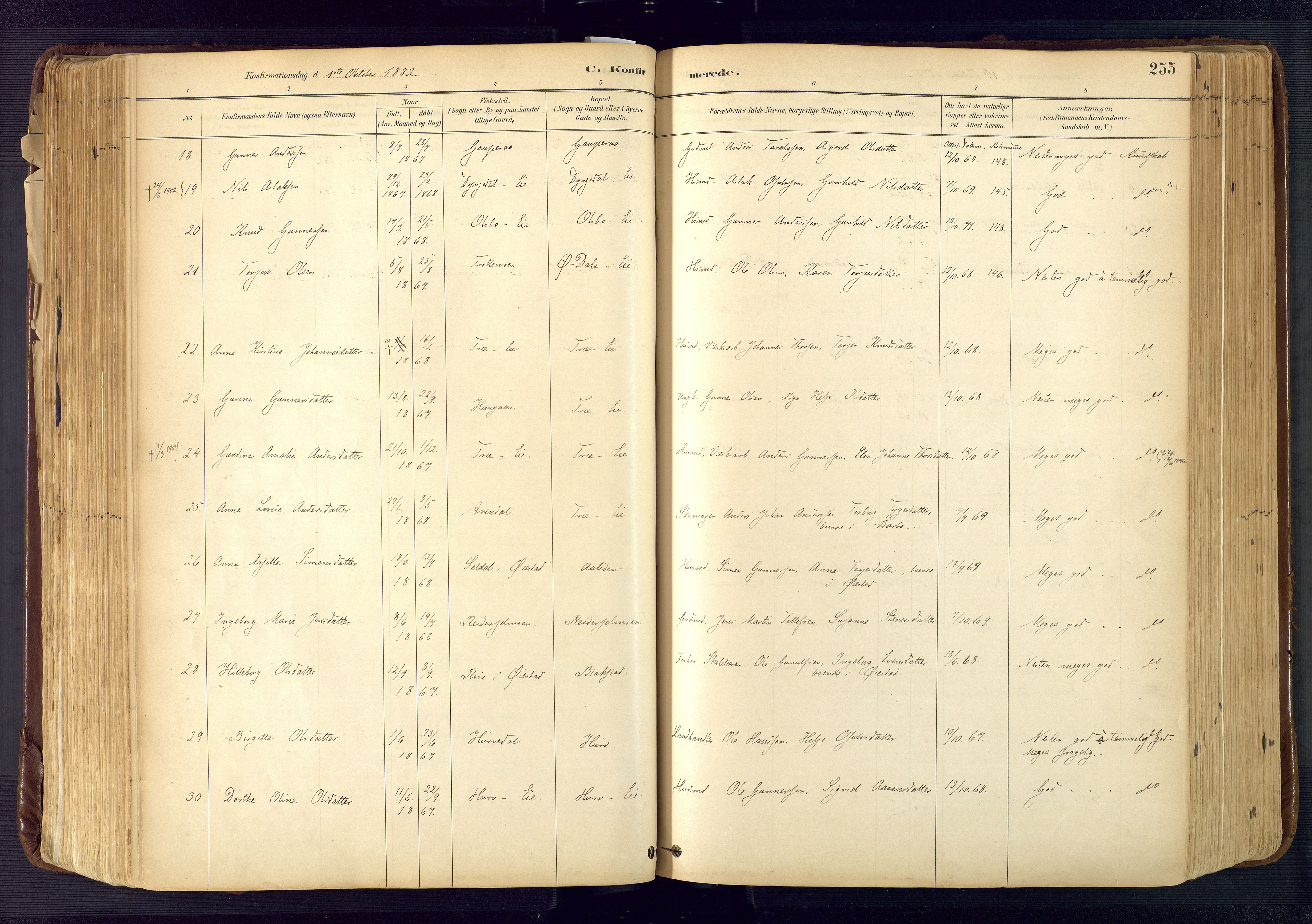Froland sokneprestkontor, AV/SAK-1111-0013/F/Fa/L0005: Ministerialbok nr. A 5, 1882-1921, s. 255