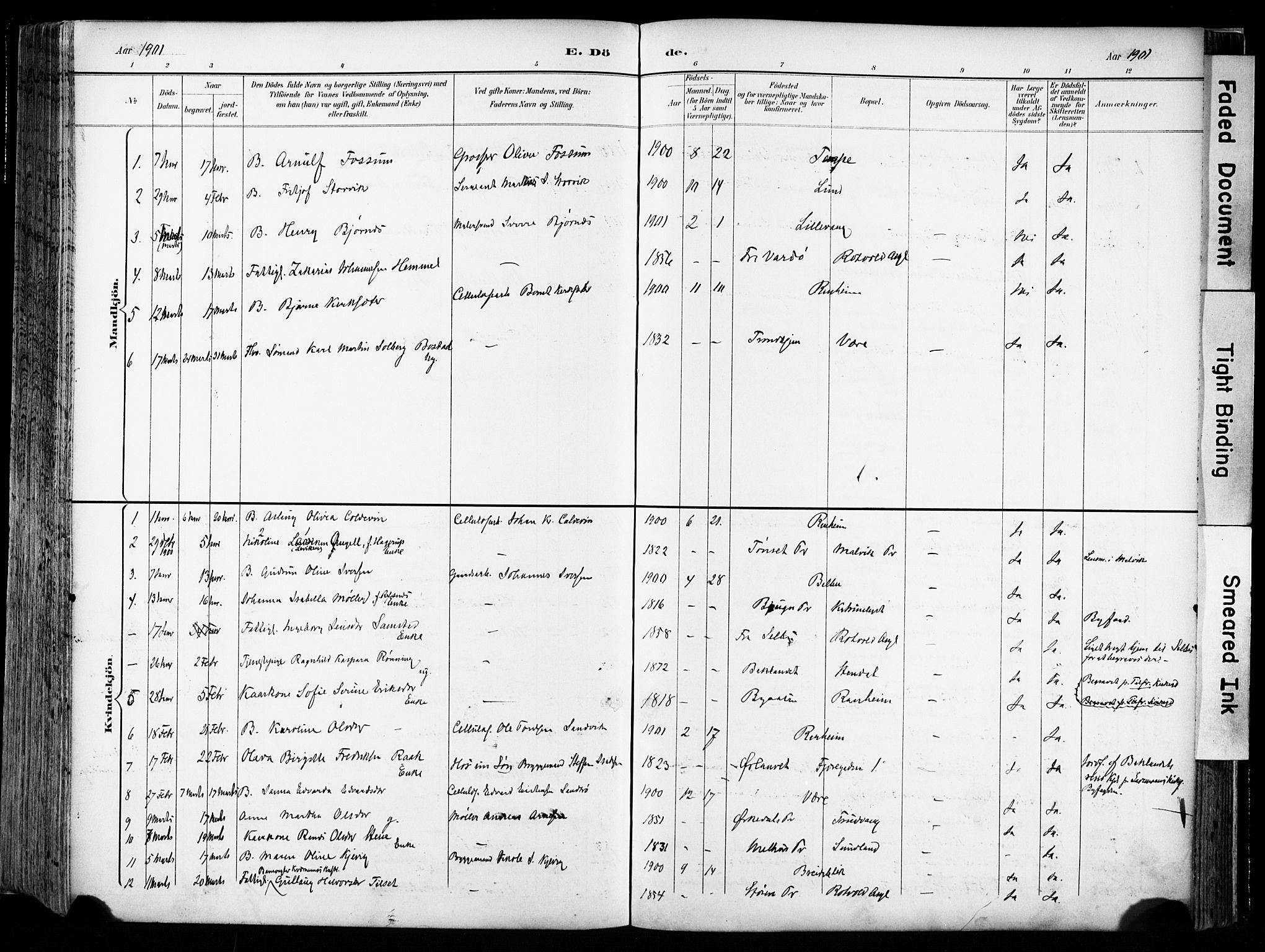 Ministerialprotokoller, klokkerbøker og fødselsregistre - Sør-Trøndelag, SAT/A-1456/606/L0301: Ministerialbok nr. 606A16, 1894-1907