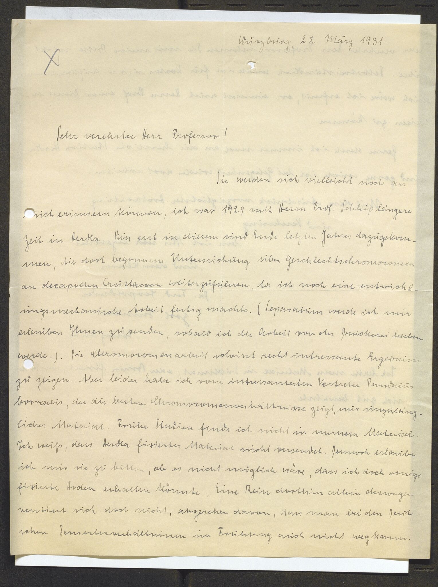 Bergens Museum, AV/SAB-A-17301/13/D/L0002: Korrespondanse , 1928-1940, s. 138