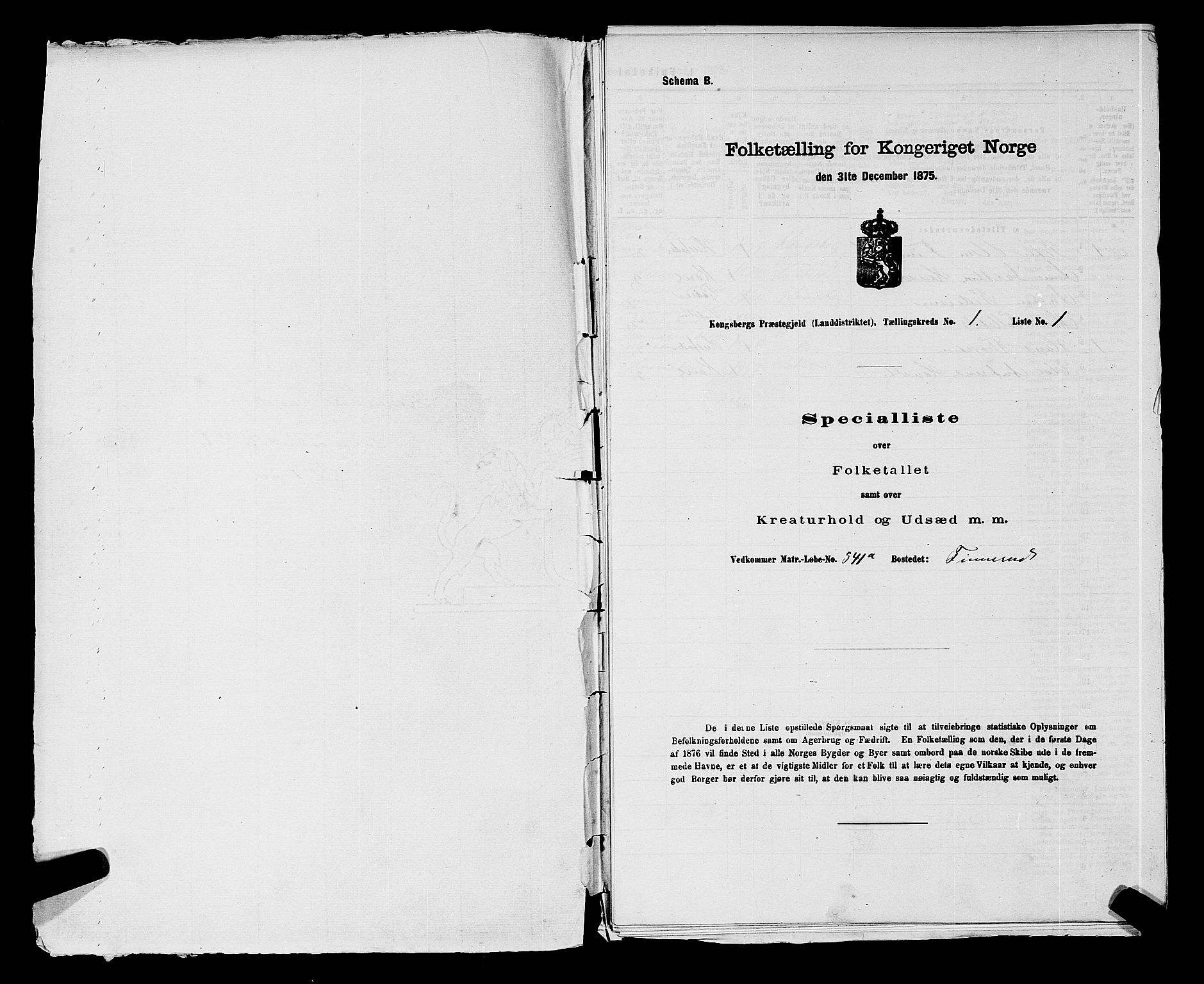 SAKO, Folketelling 1875 for 0692L Kongsberg prestegjeld, Kongsberg landsokn, 1875, s. 14