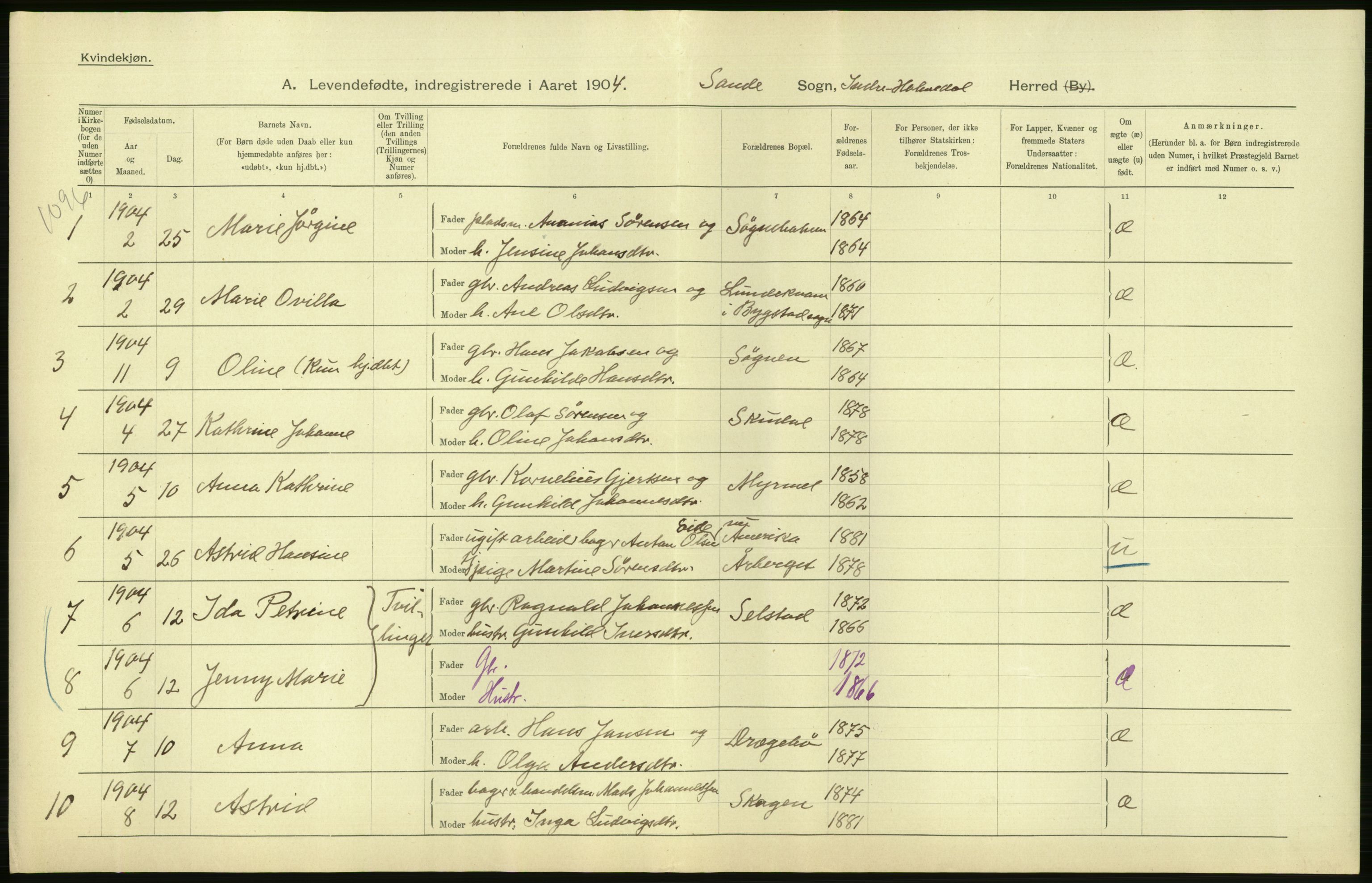 Statistisk sentralbyrå, Sosiodemografiske emner, Befolkning, RA/S-2228/D/Df/Dfa/Dfab/L0015: Nordre Bergenhus amt: Fødte, gifte, døde. Bygder, 1904, s. 48