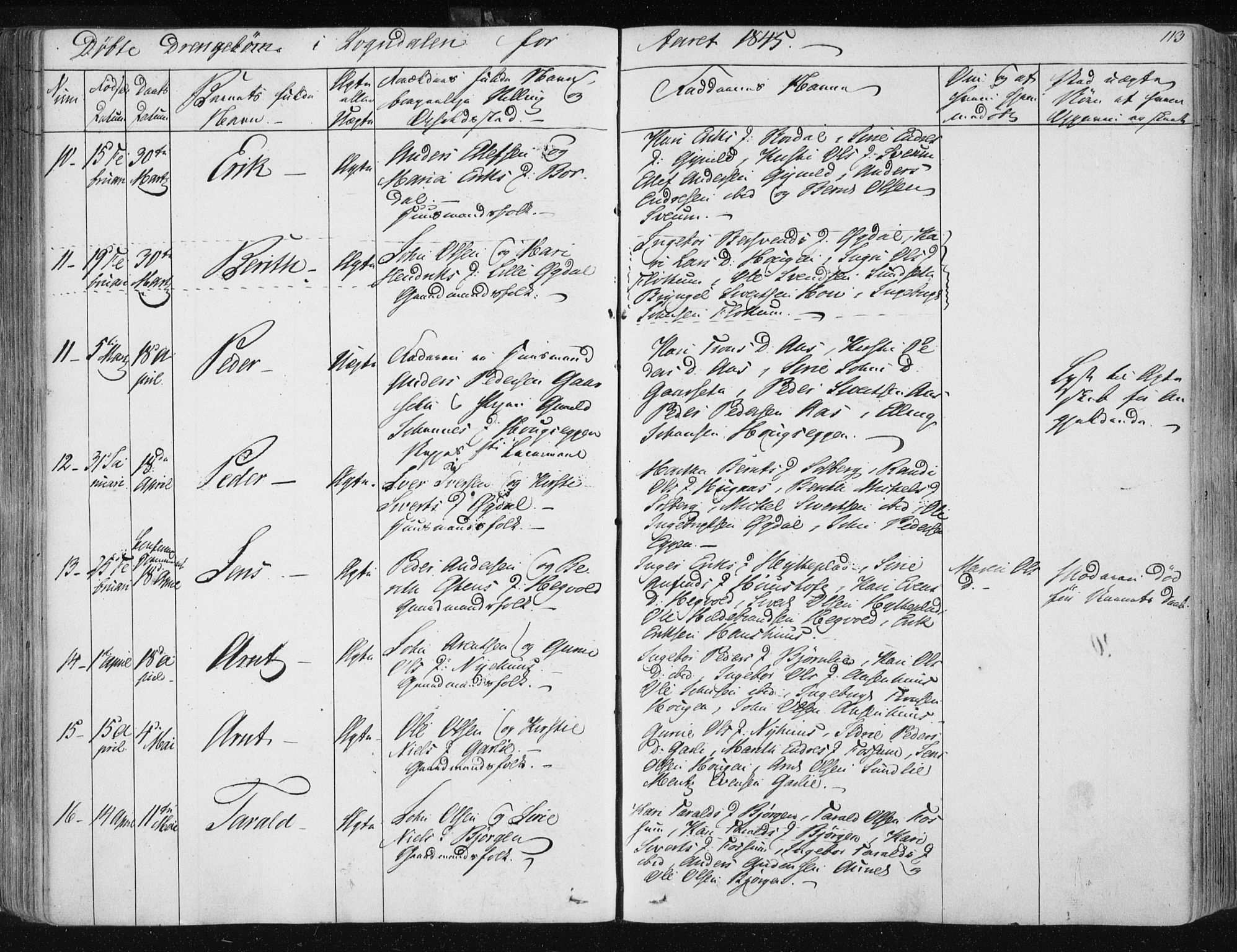 Ministerialprotokoller, klokkerbøker og fødselsregistre - Sør-Trøndelag, SAT/A-1456/687/L0999: Ministerialbok nr. 687A05 /3, 1843-1848, s. 113