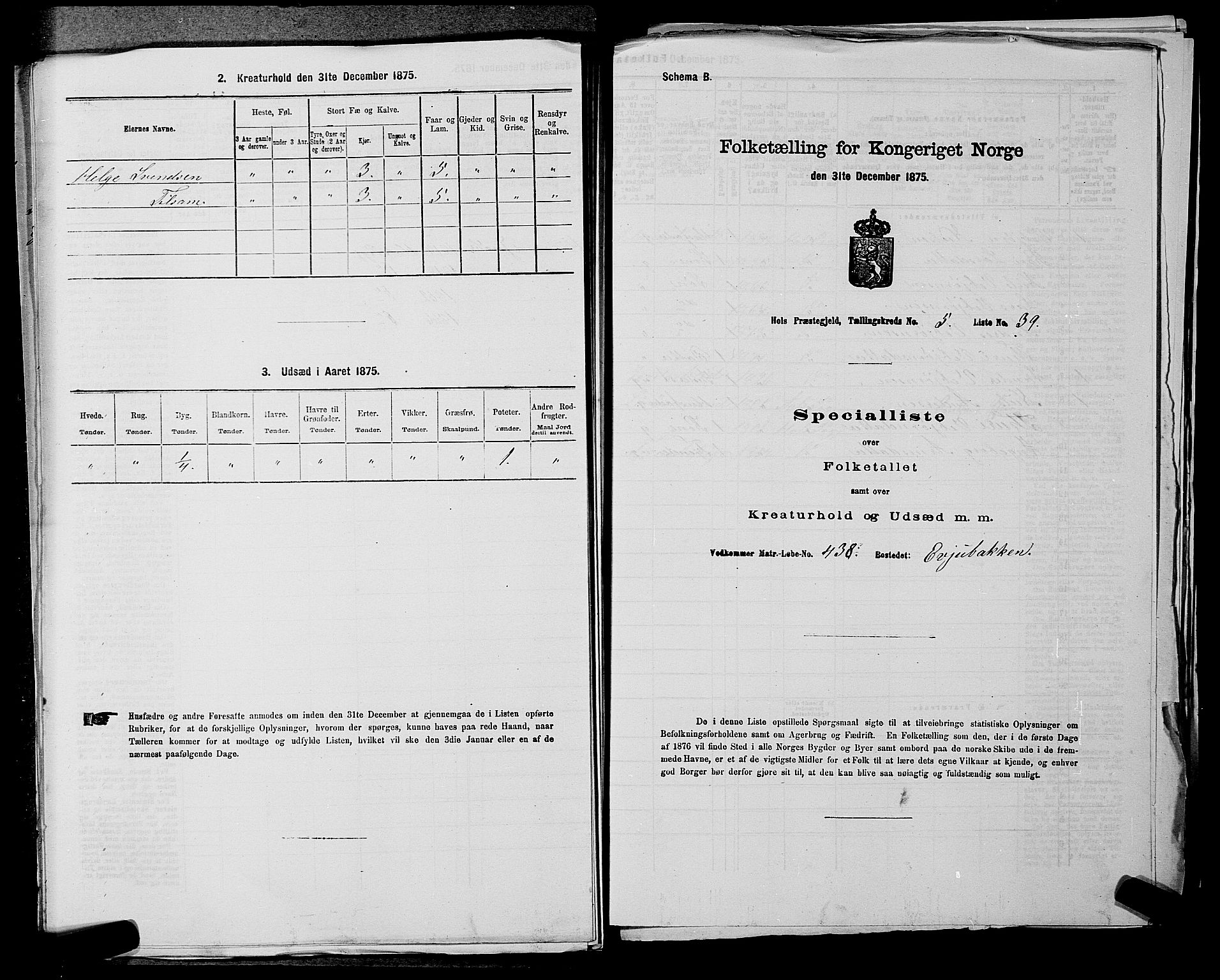 SAKO, Folketelling 1875 for 0620P Hol prestegjeld, 1875, s. 712