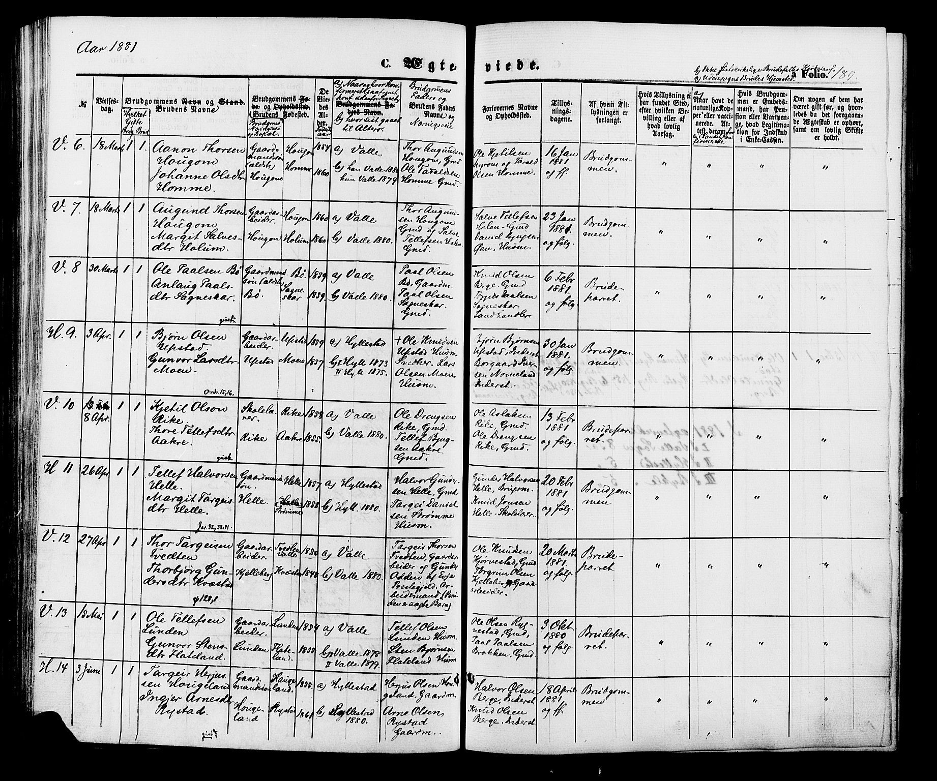 Valle sokneprestkontor, AV/SAK-1111-0044/F/Fa/Fac/L0008: Ministerialbok nr. A 8, 1868-1882, s. 189