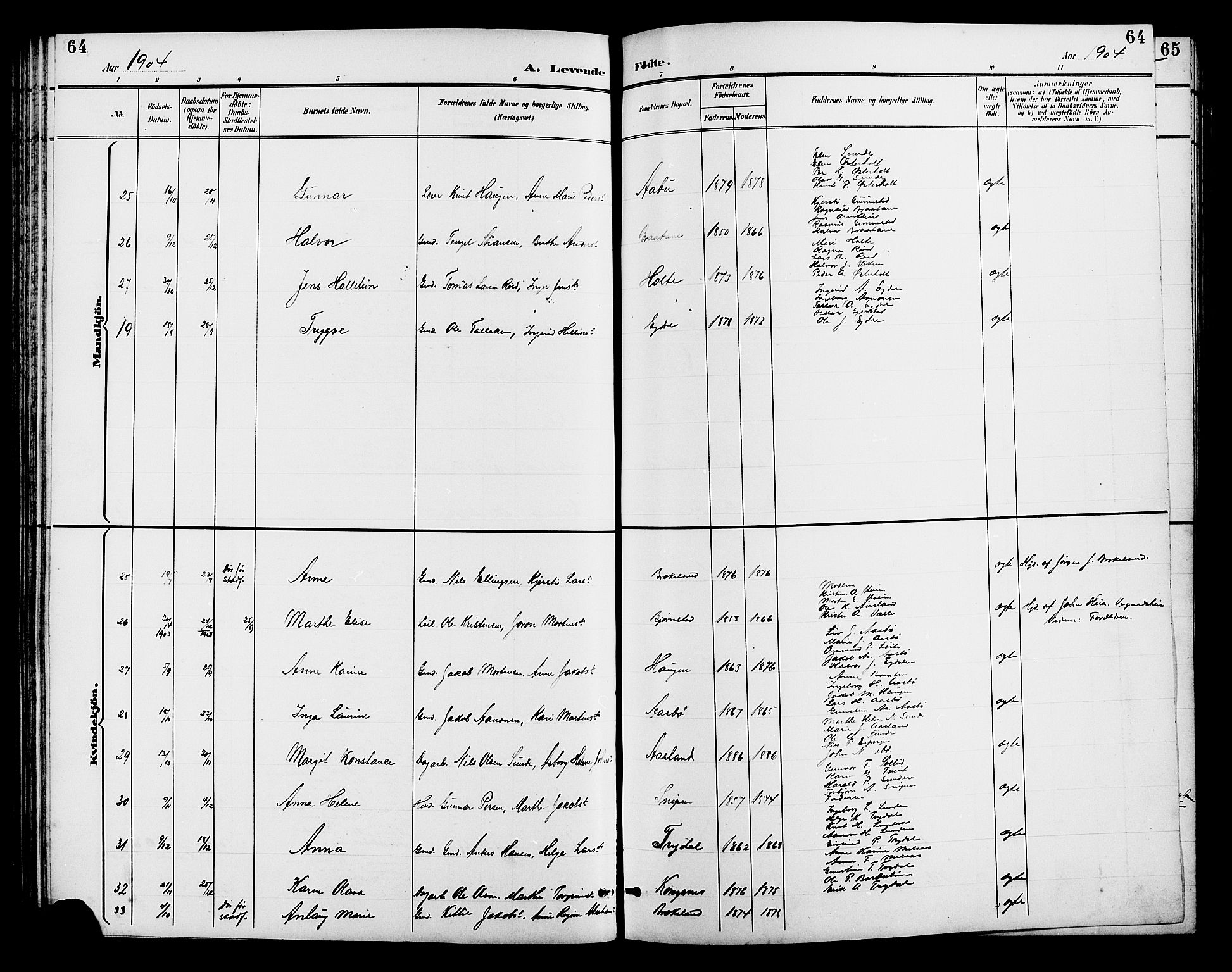 Gjerstad sokneprestkontor, AV/SAK-1111-0014/F/Fb/Fba/L0007: Klokkerbok nr. B 7, 1891-1908, s. 64