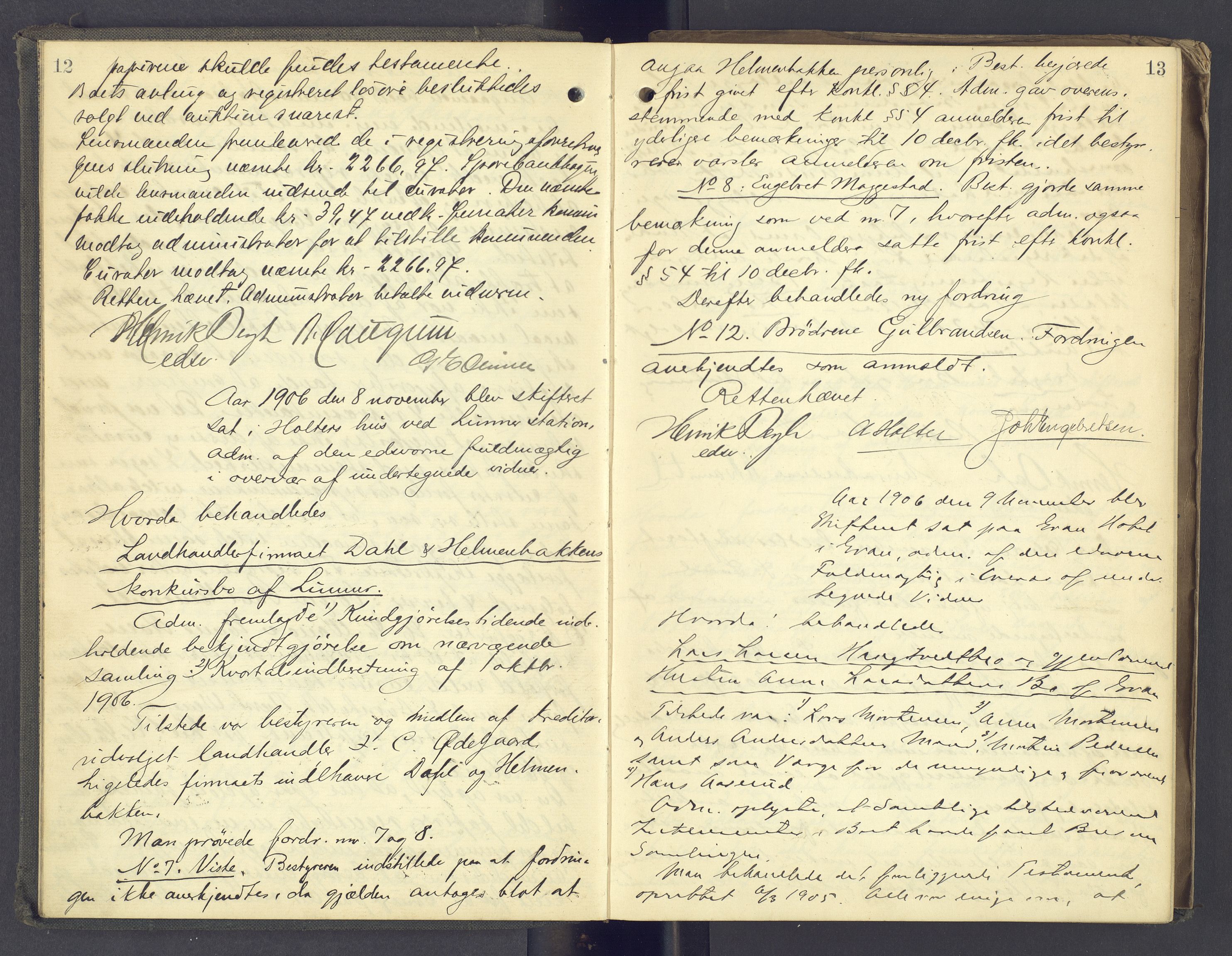 Hadeland og Land tingrett, AV/SAH-TING-010/J/Jc/L0008: Skifteforhandlingsprotokoll, 1906-1910, s. 12-13